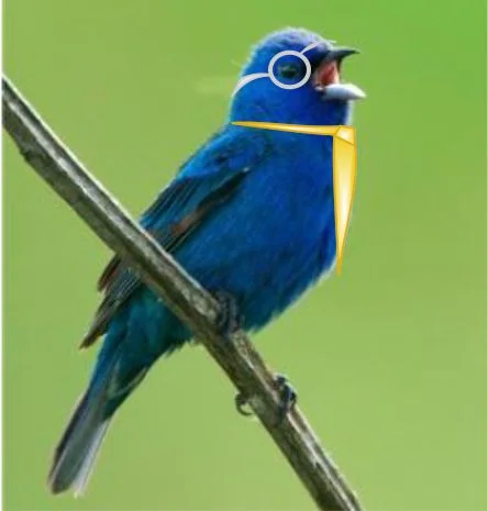 Twitter for Lawyers - How to Start