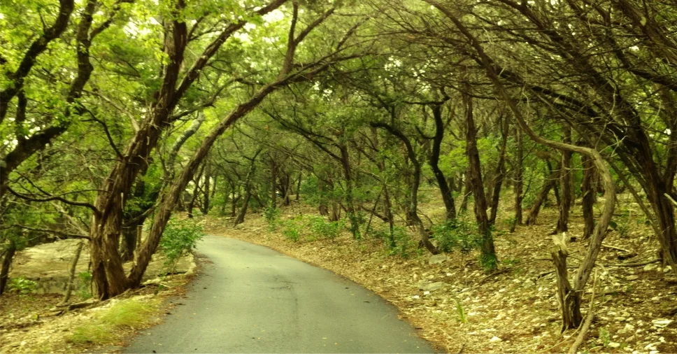 There's Still Time to Plan Your 2016!