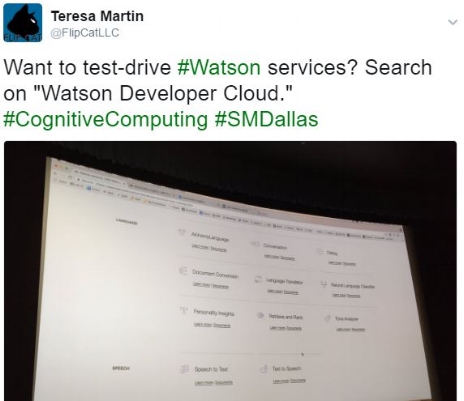 Take a look here , or Google Watson Developer Cloud.