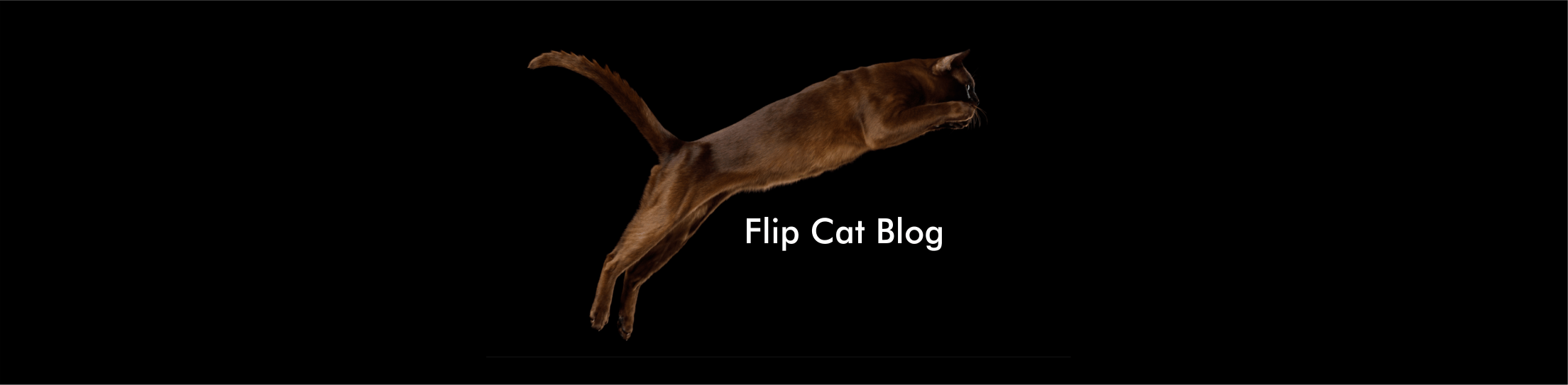 FCC 2022 - web Blog Header-4.png