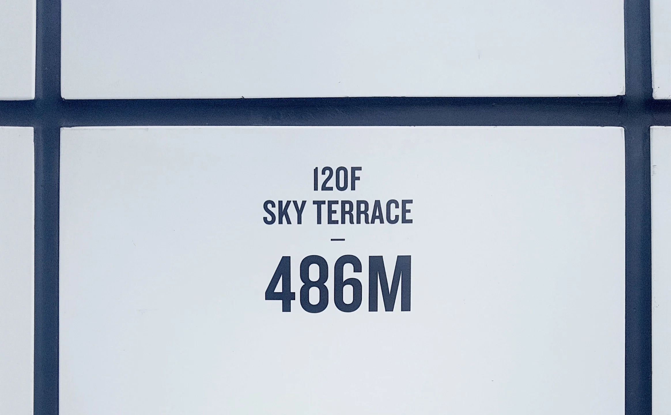 486.jpg