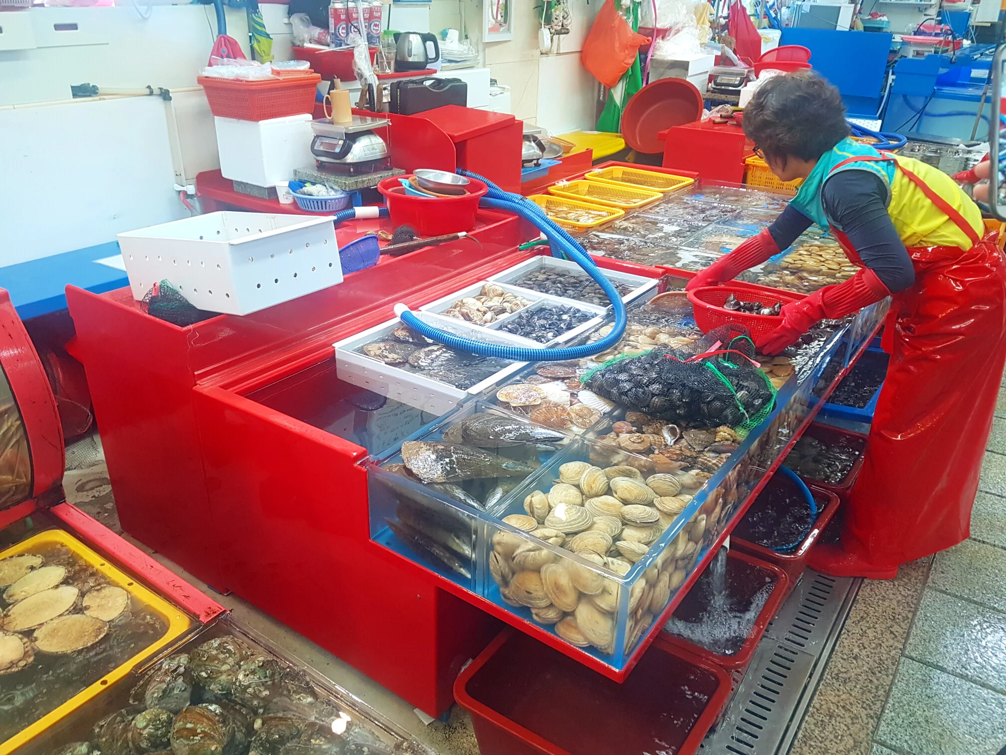 Fisher lady taking care of her mussels and shells.
