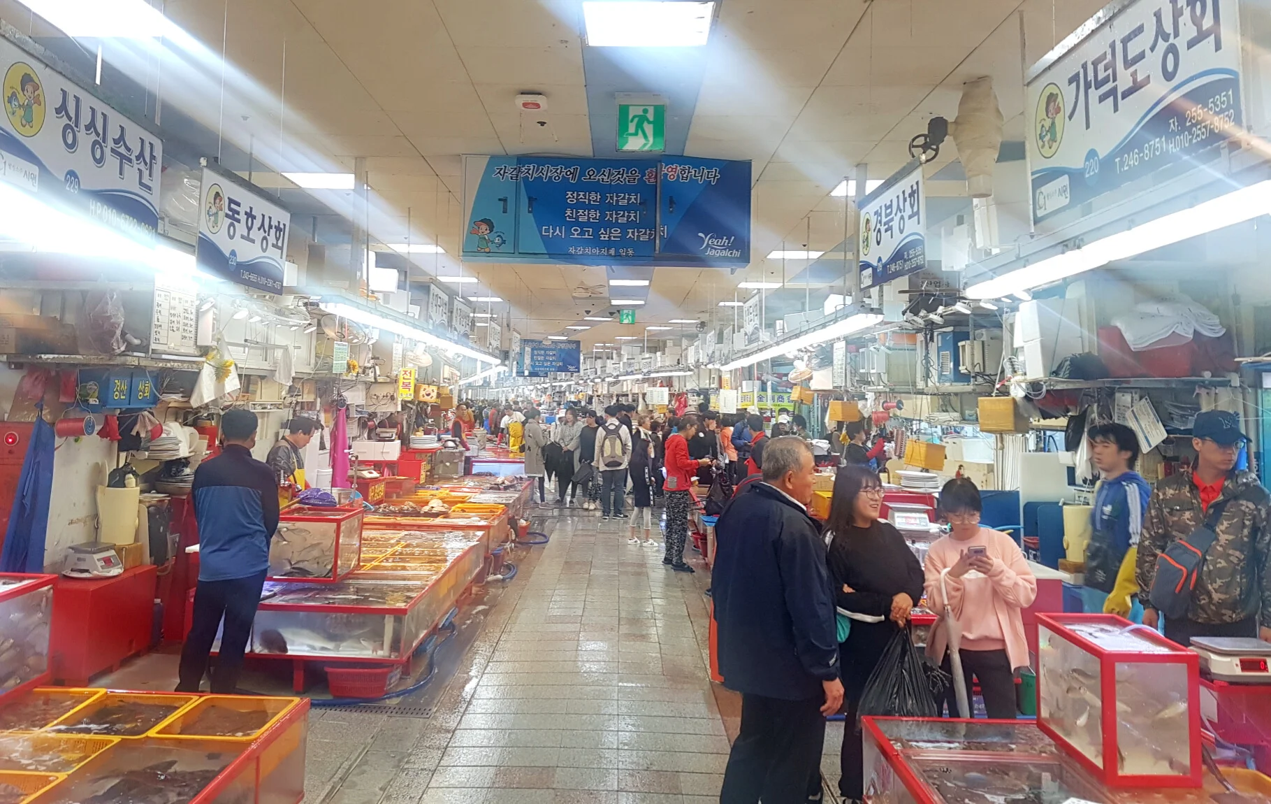 I guess what you cannot find here, you will not need when it comes down to preparing a delicious seafood dish.