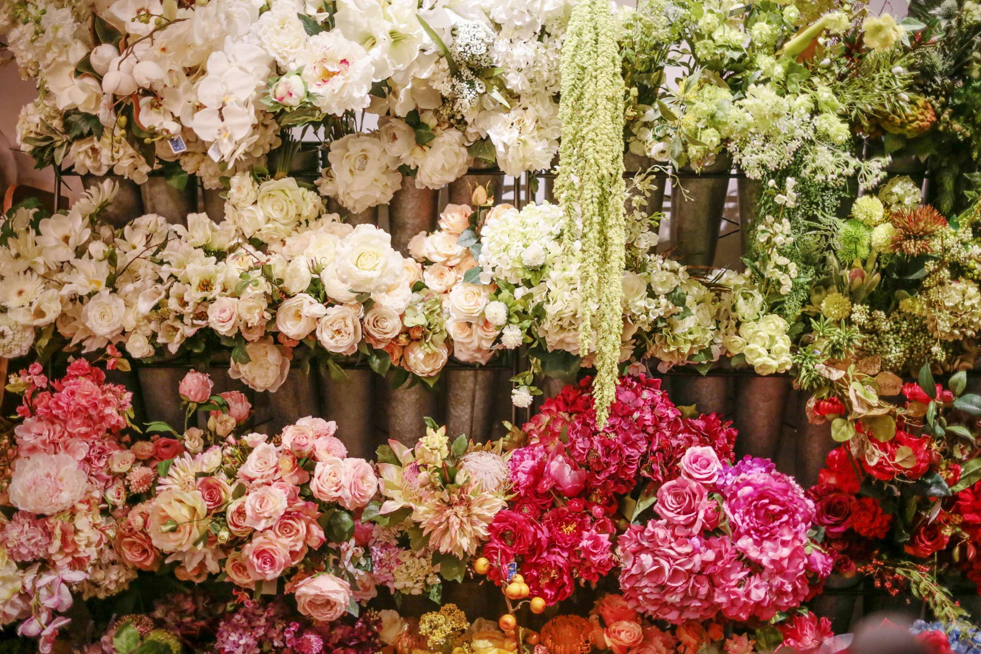 nicol-floral-studio-24 8.18.29 PM.jpg