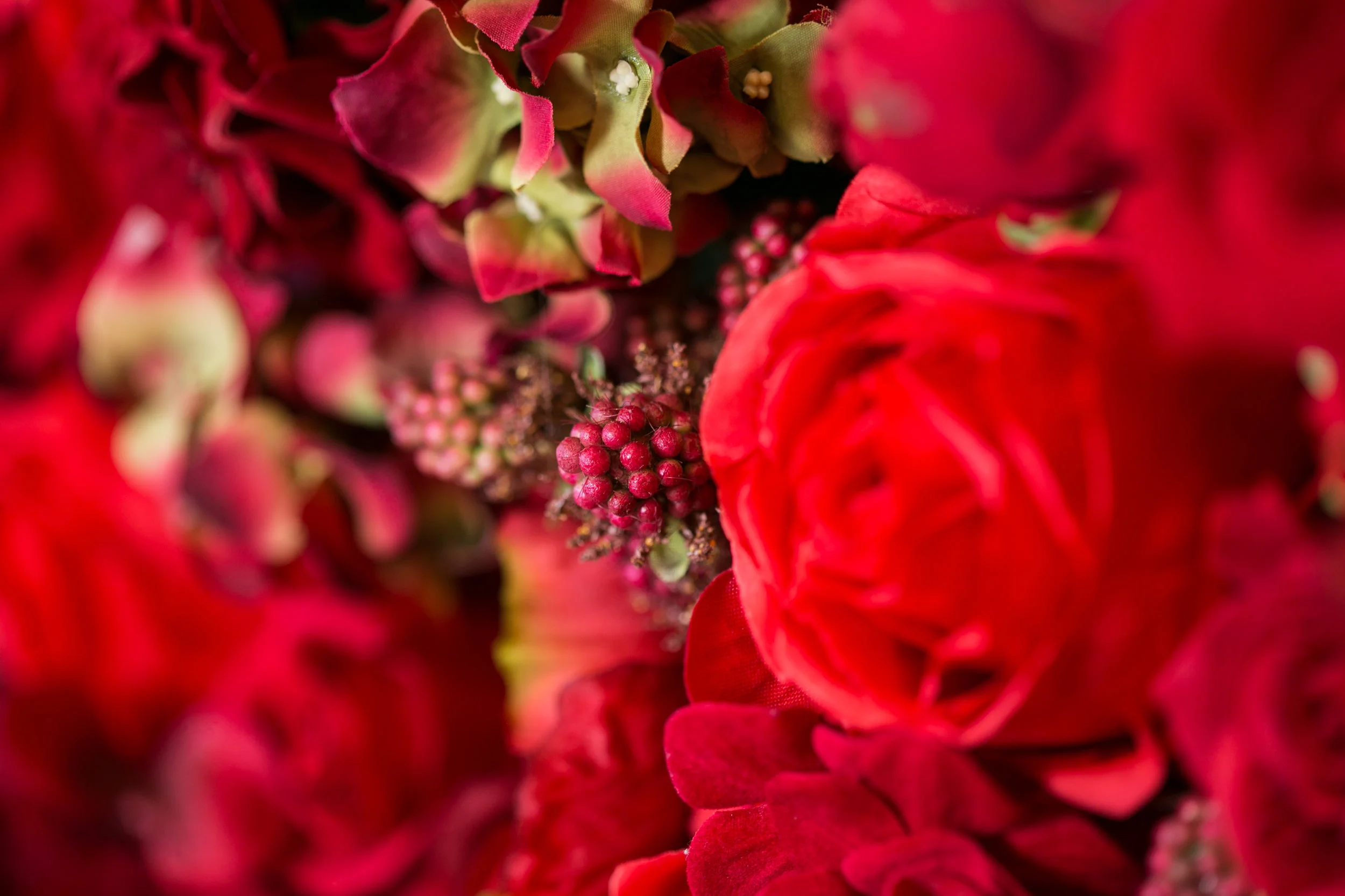 20190318_NicolFloral_060.jpg