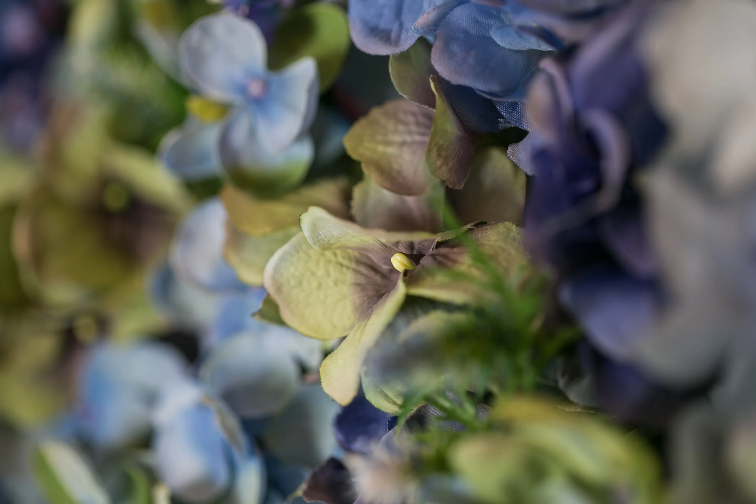 20190318_NicolFloral_013.jpg