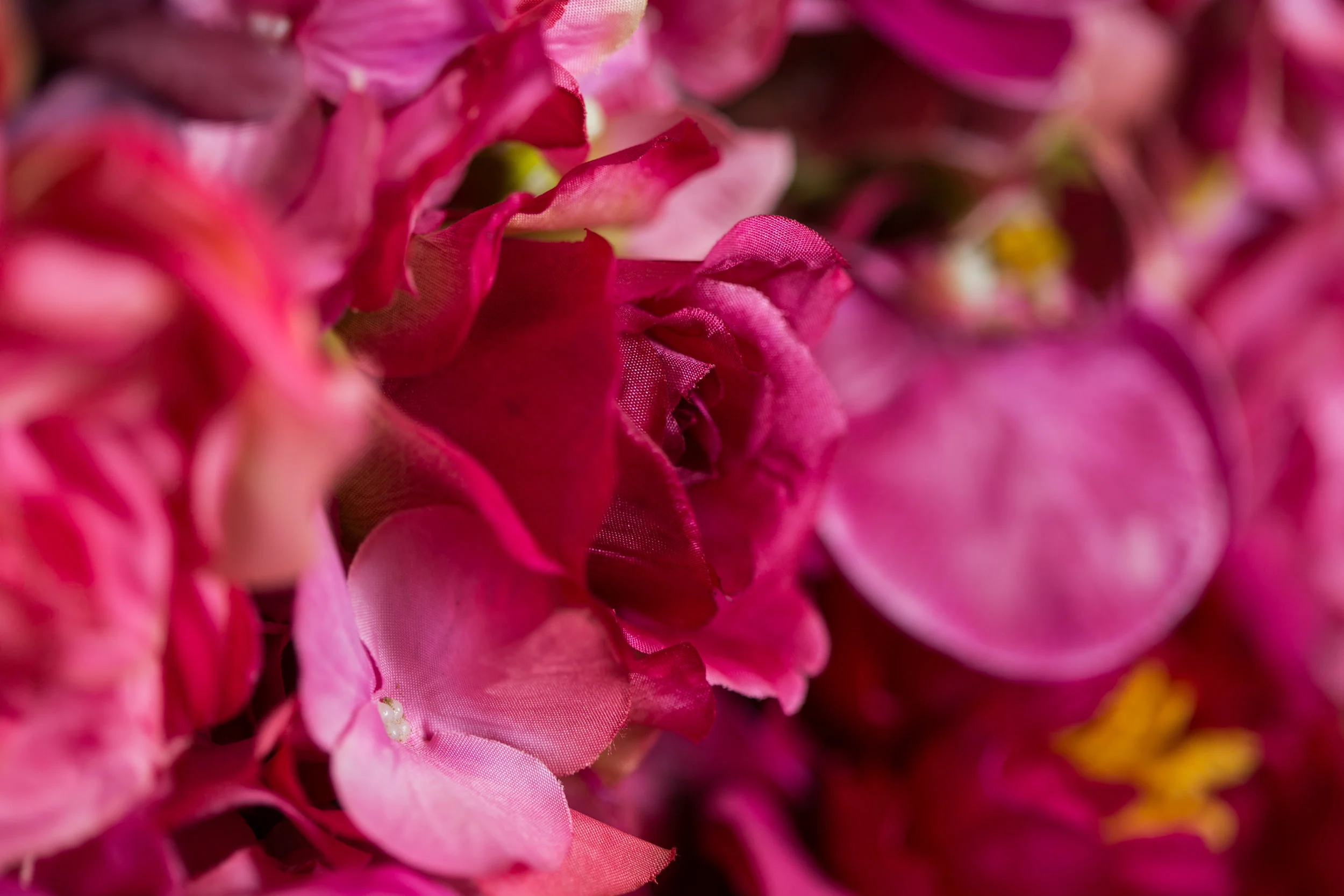 20190318_NicolFloral_033.jpg