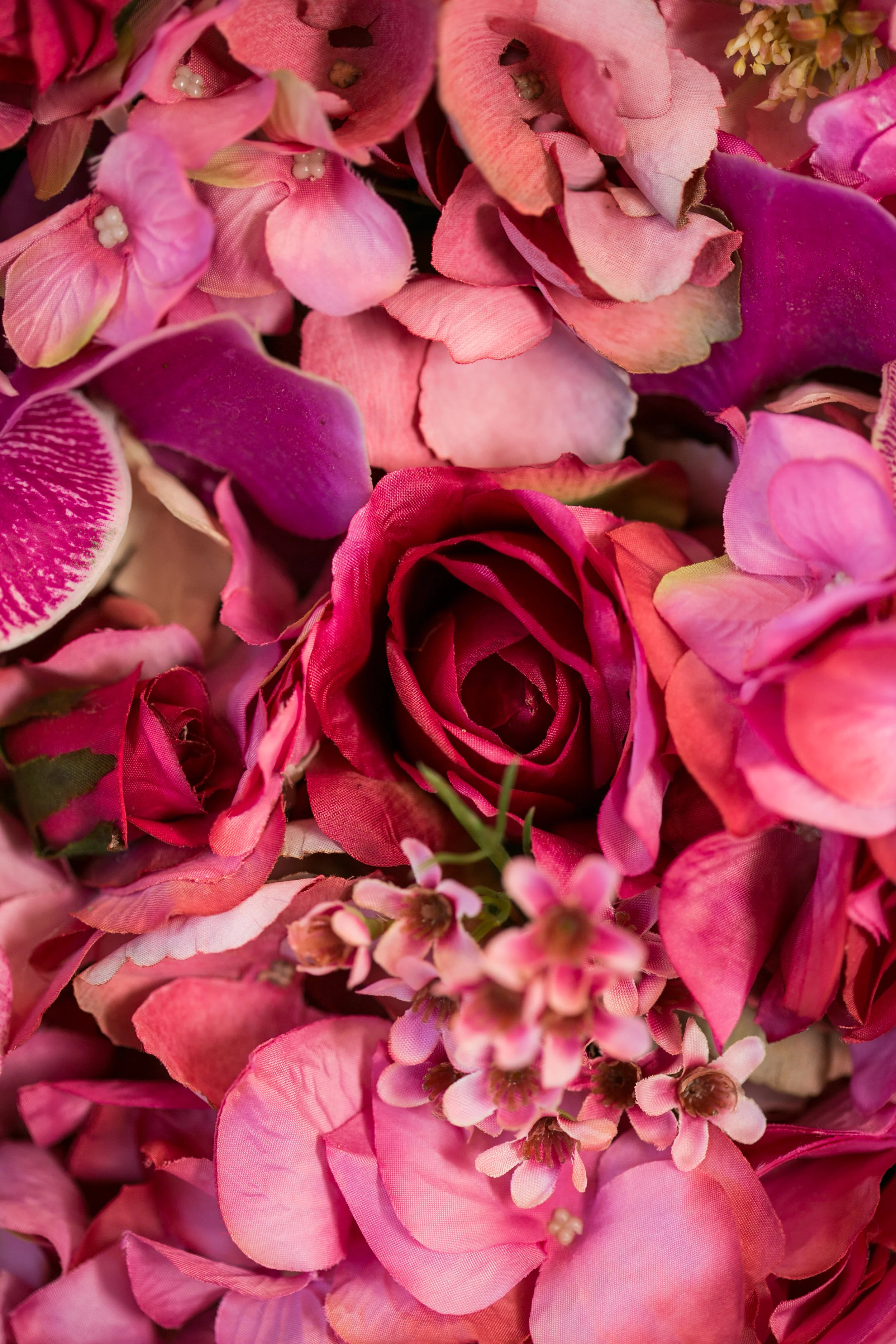 20190318_NicolFloral_038.jpg
