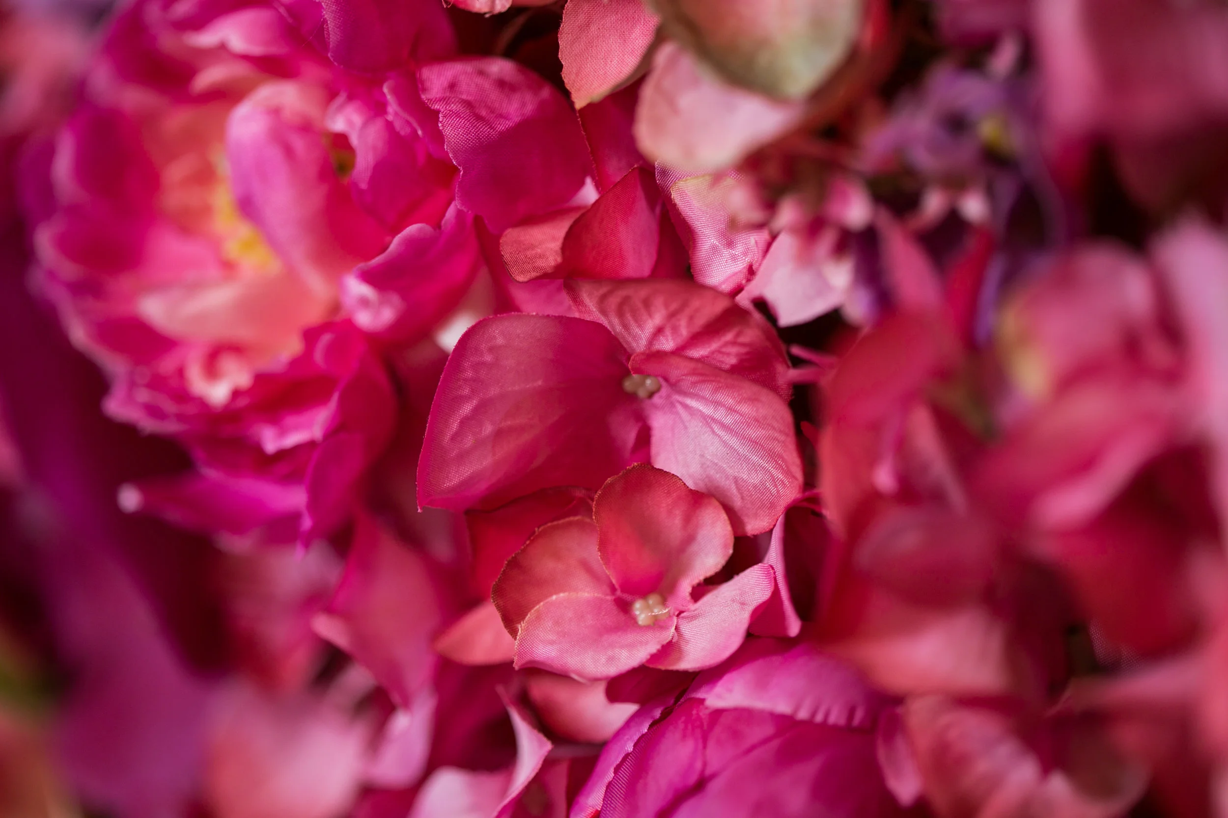 20190318_NicolFloral_043.jpg