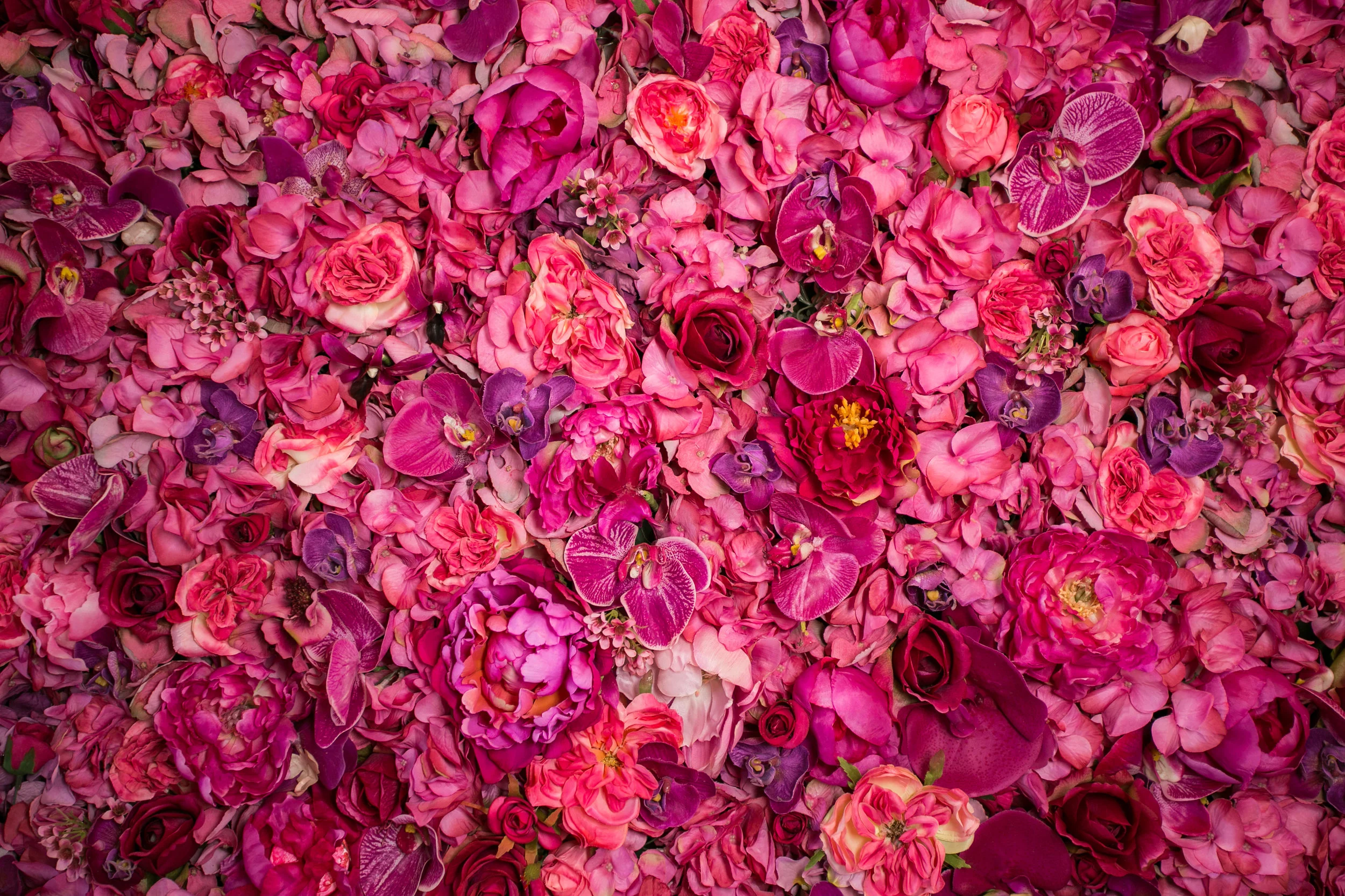 20190318_NicolFloral_045.jpg