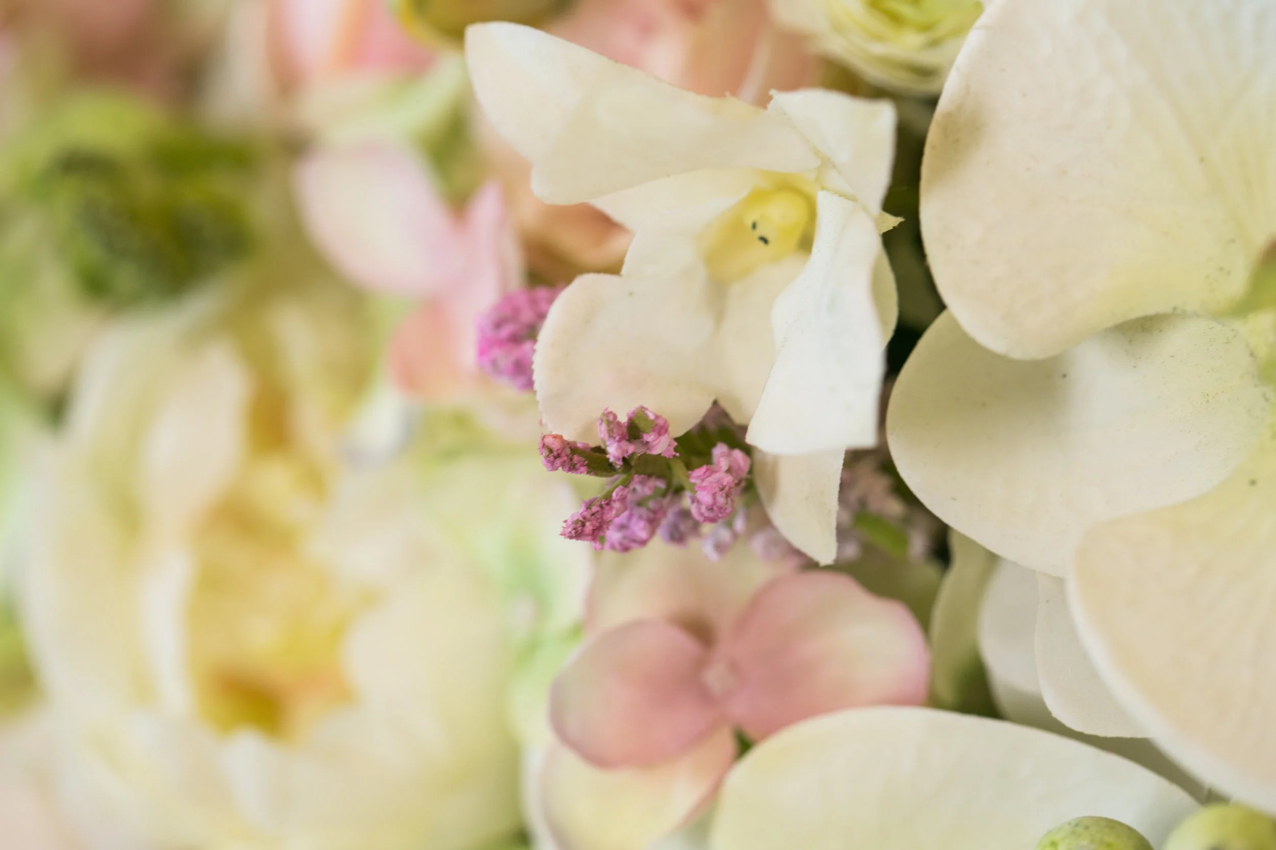 20190318_NicolFloral_213.jpg