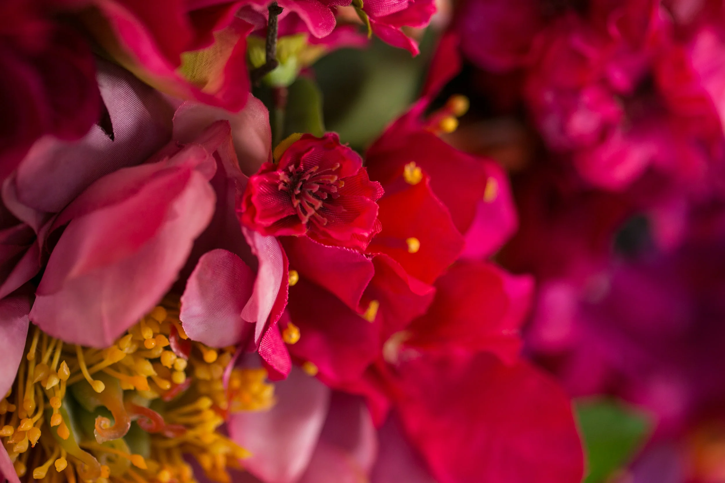 20190318_NicolFloral_141.jpg