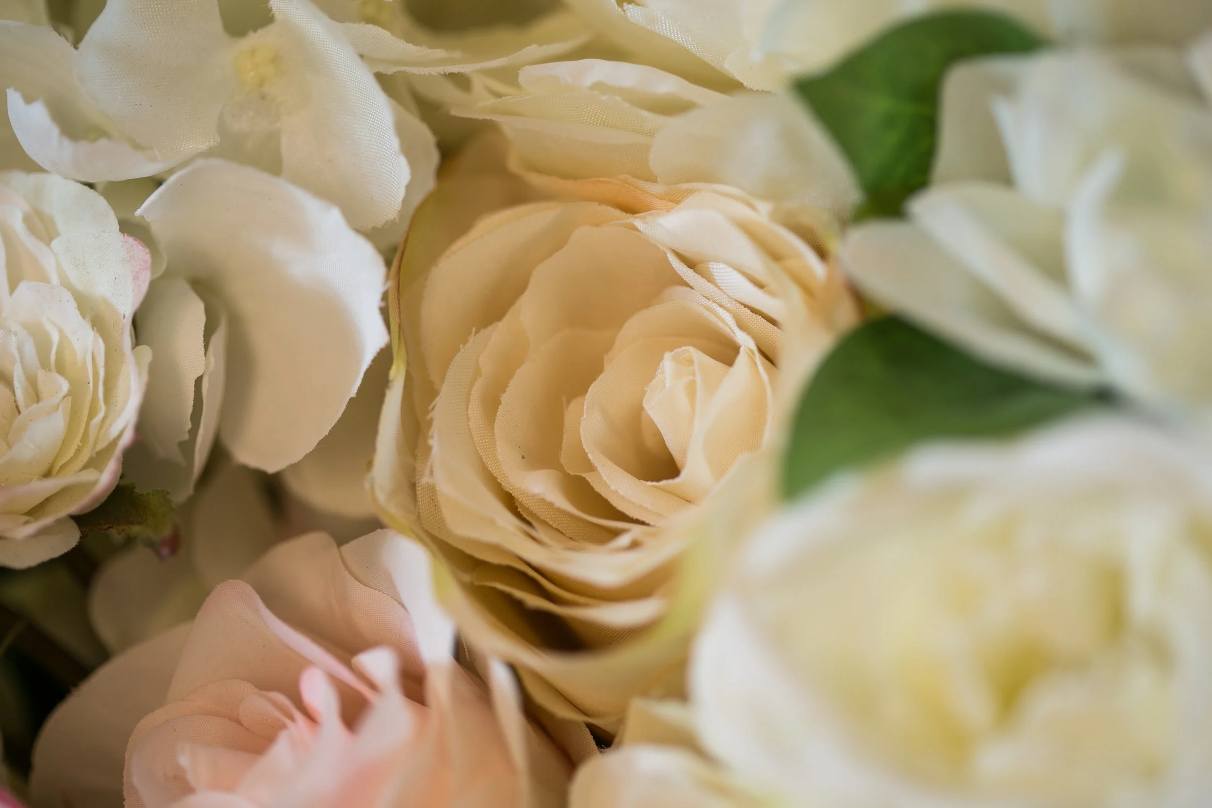 20190318_NicolFloral_612.jpg