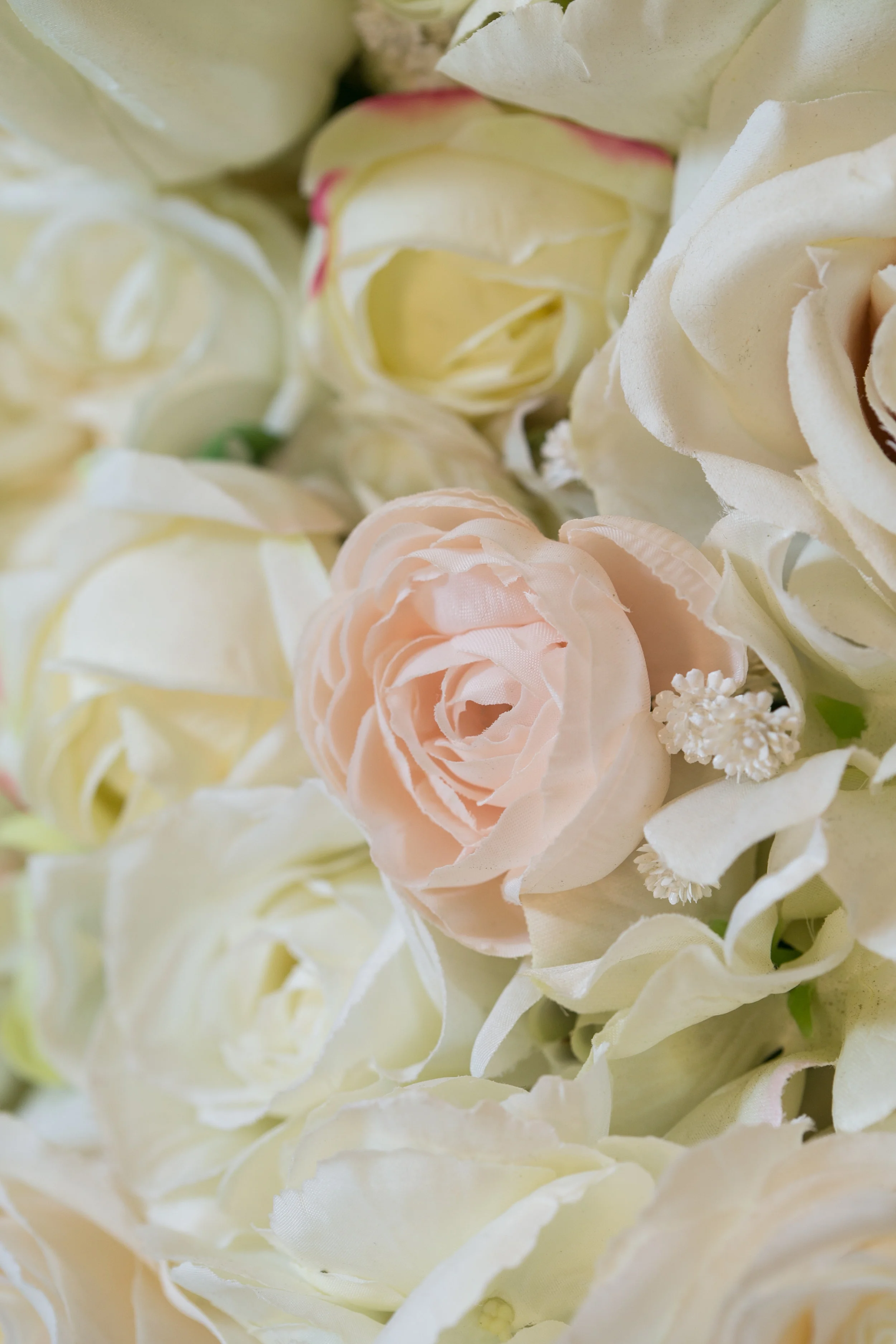 20190318_NicolFloral_641.jpg