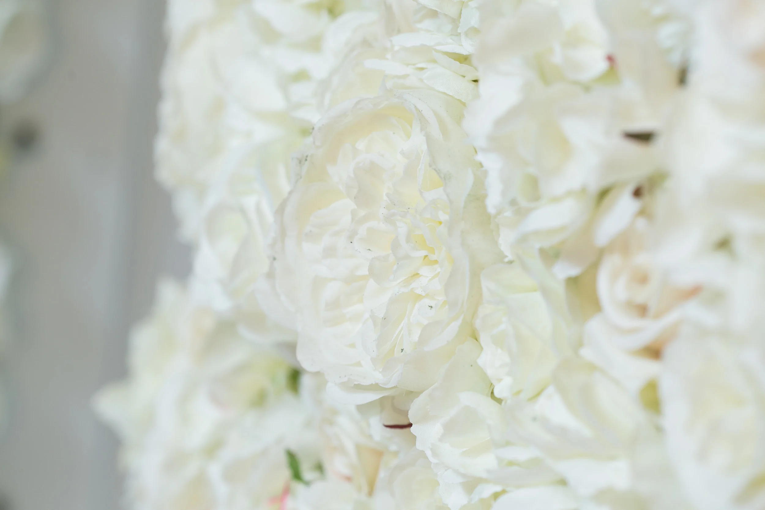 20190318_NicolFloral_643.jpg