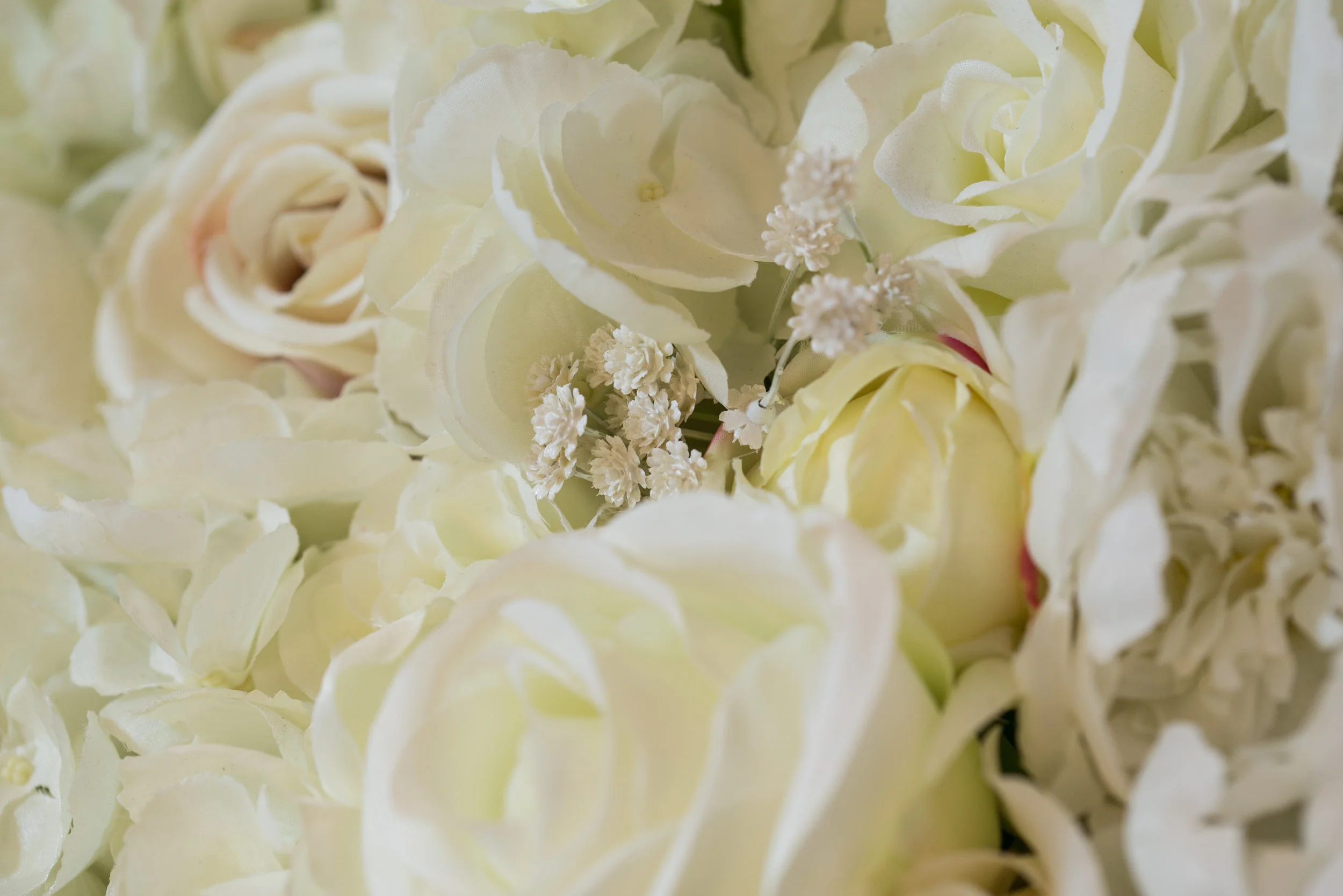 20190318_NicolFloral_642.jpg