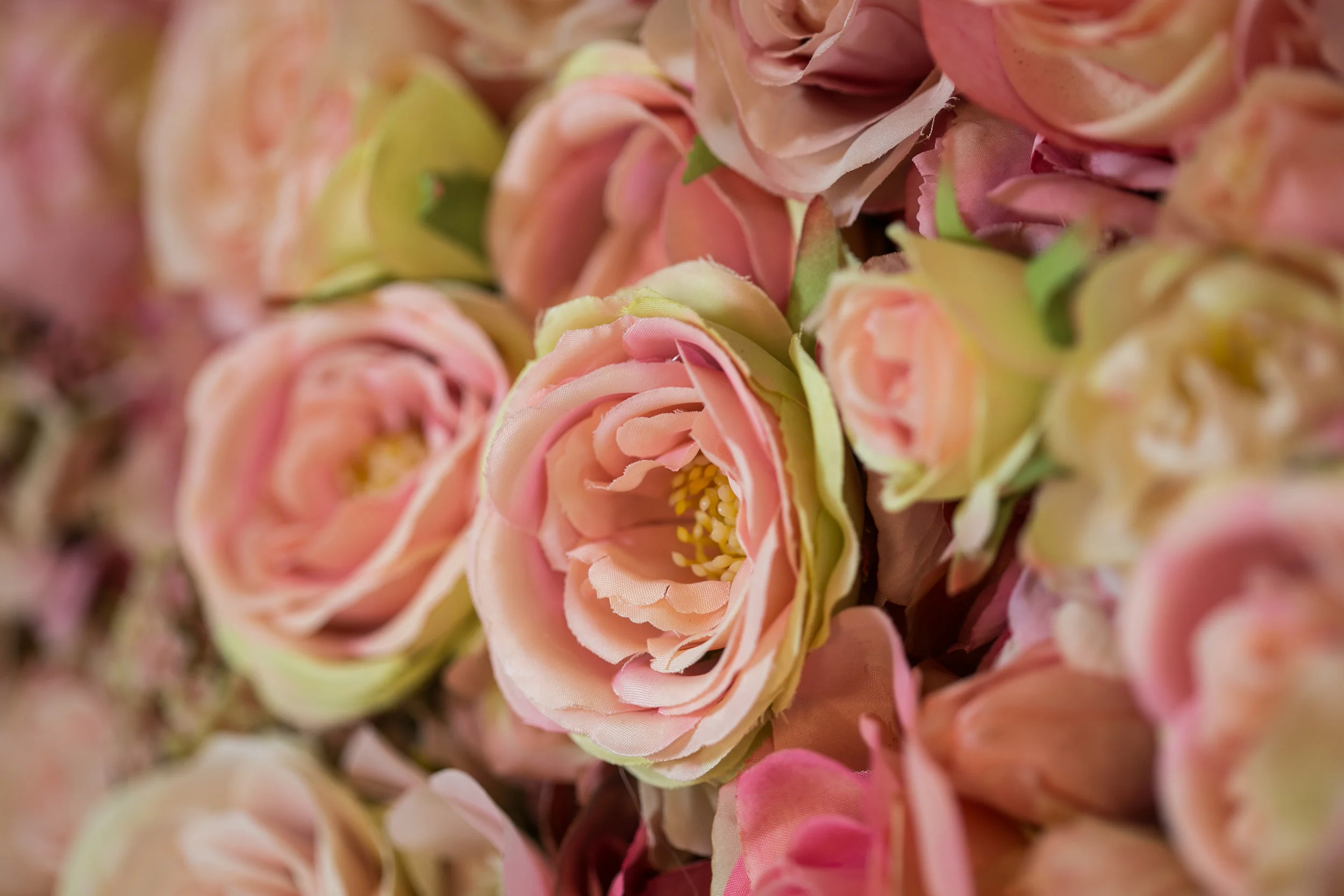 20190318_NicolFloral_590.jpg