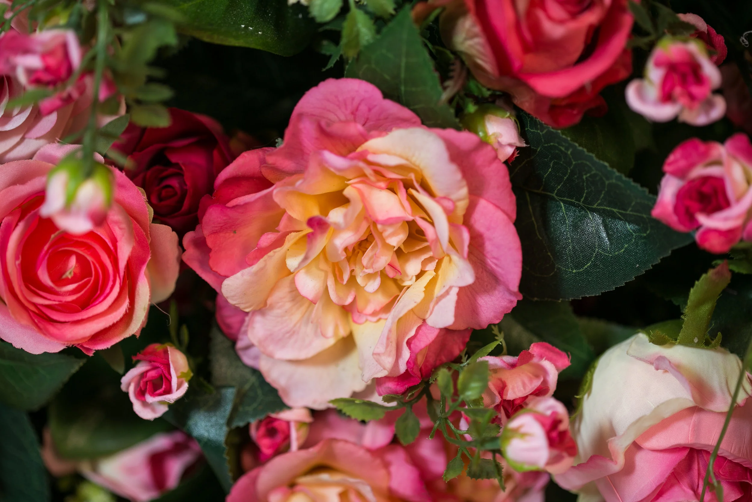 20190318_NicolFloral_758.jpg
