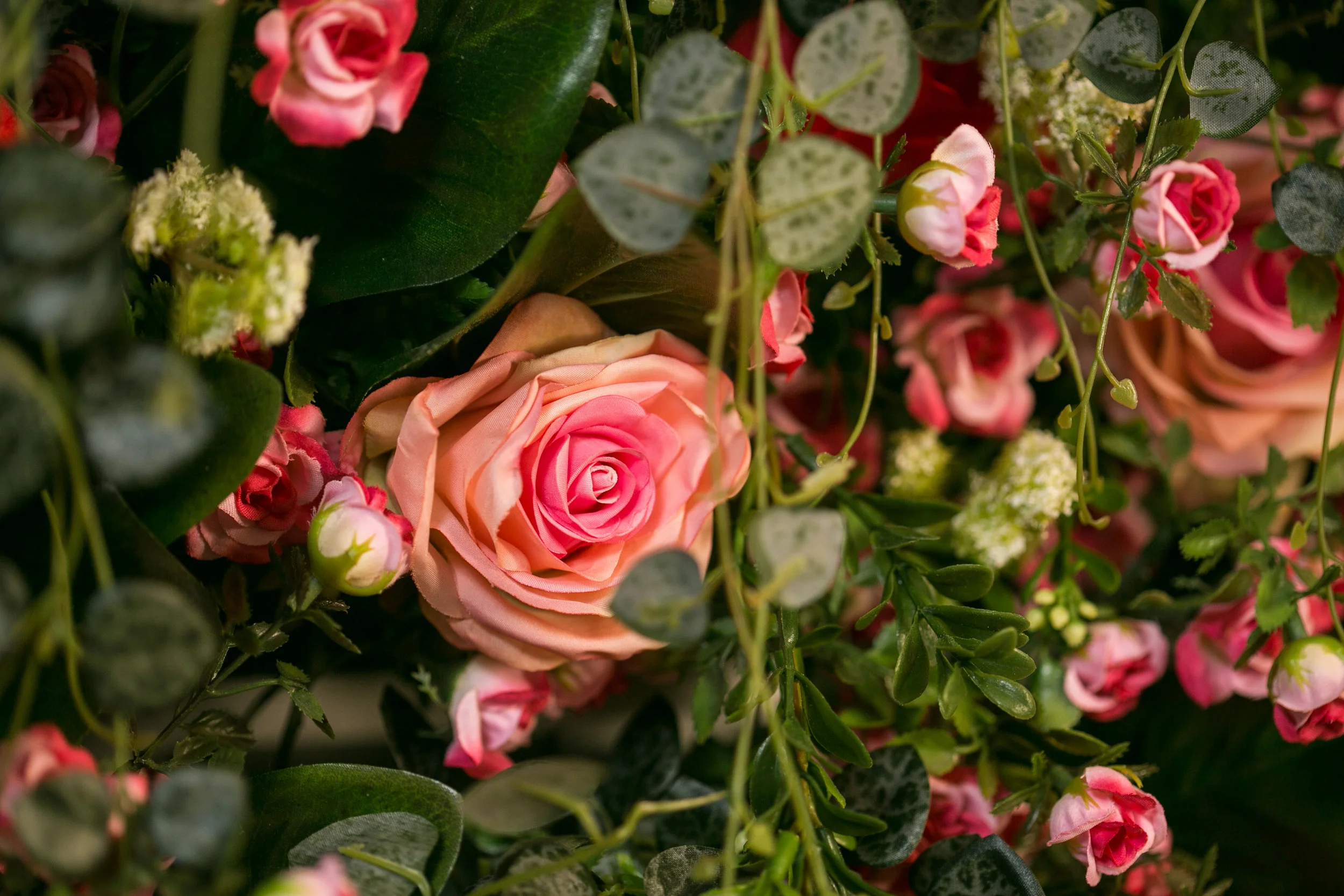 20190318_NicolFloral_760.jpg