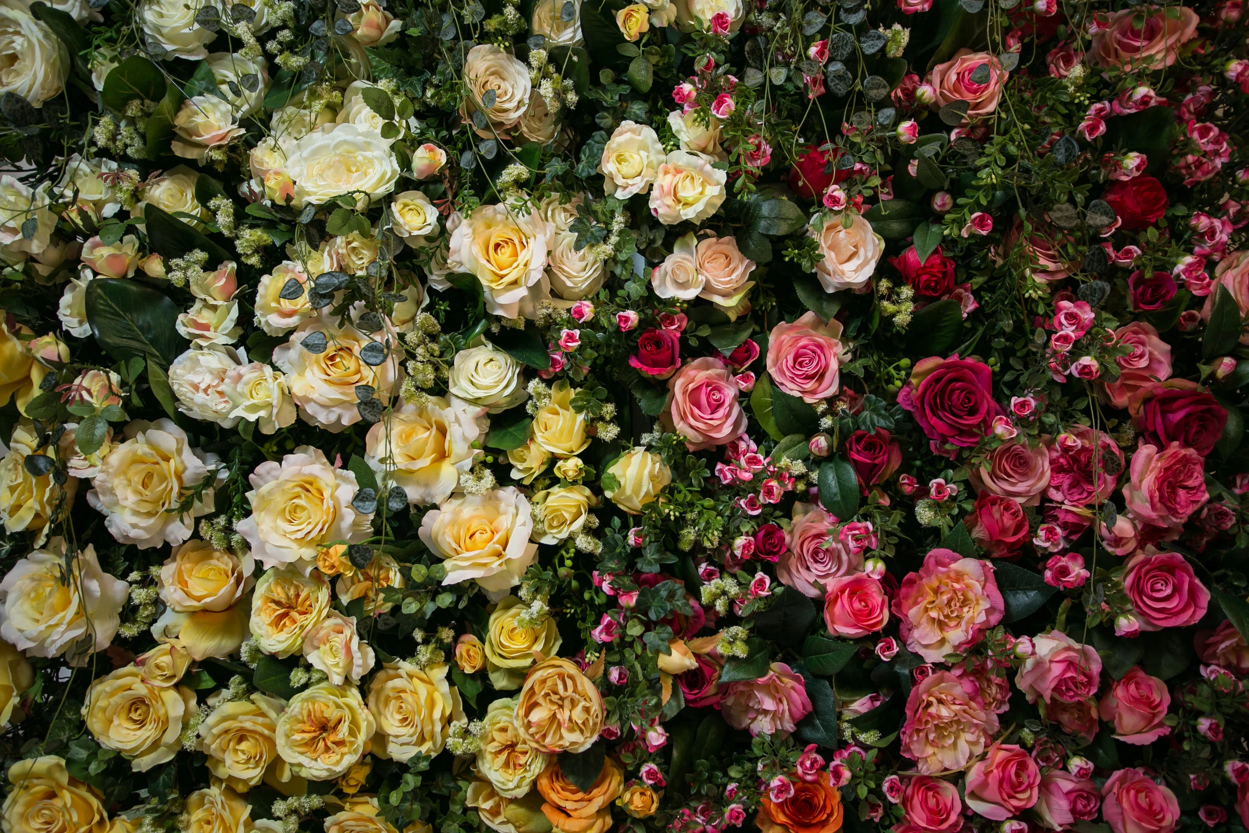 20190318_NicolFloral_770.jpg
