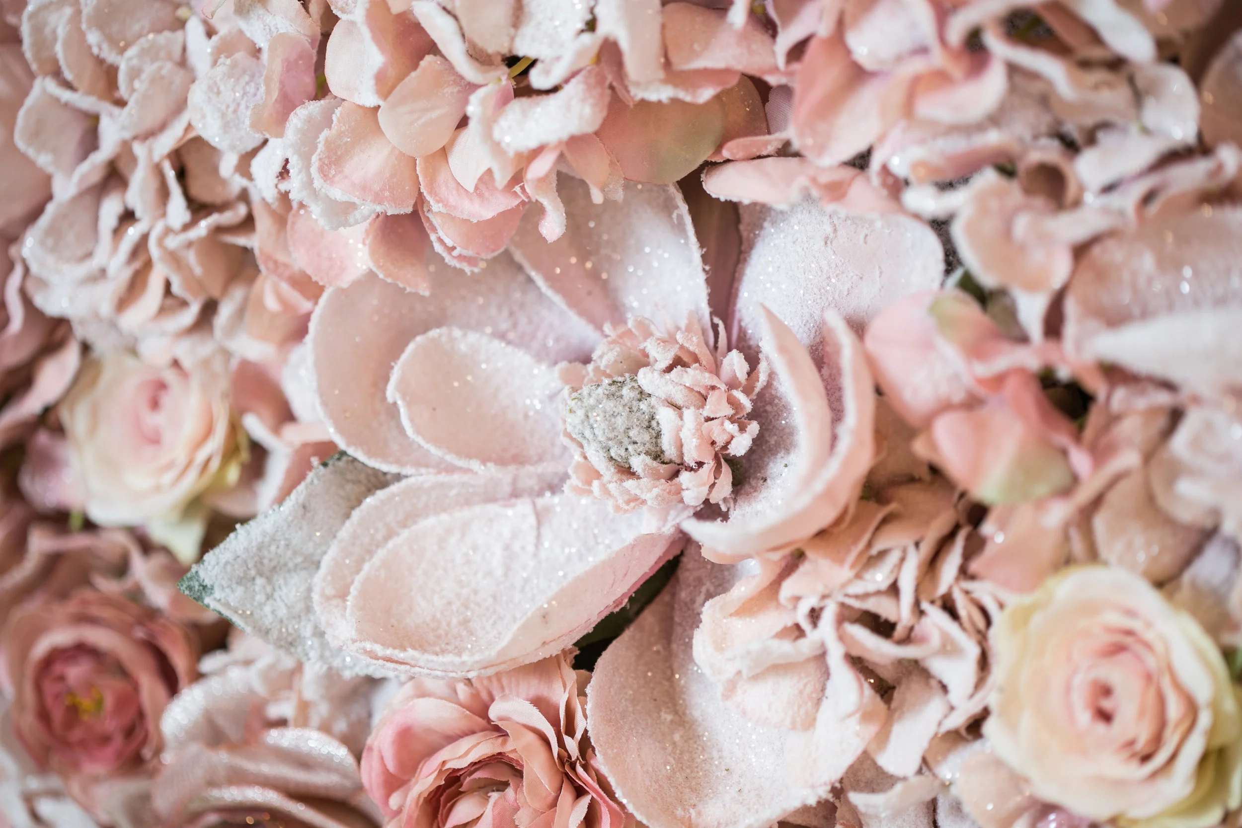 20190318_NicolFloral_552.jpg