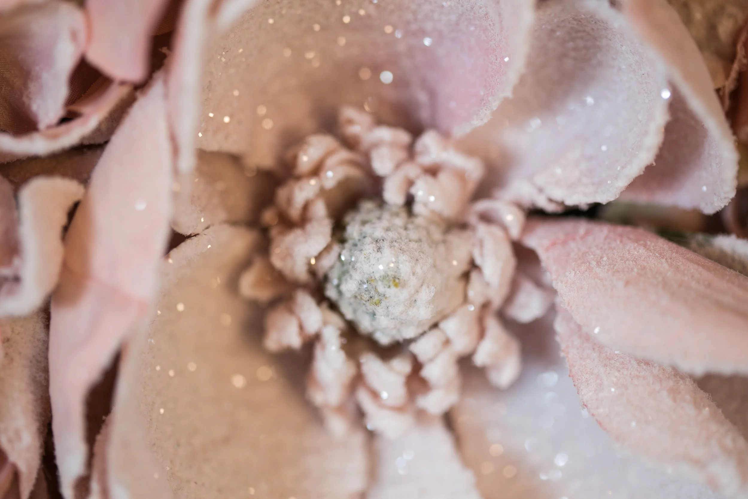 20190318_NicolFloral_556.jpg