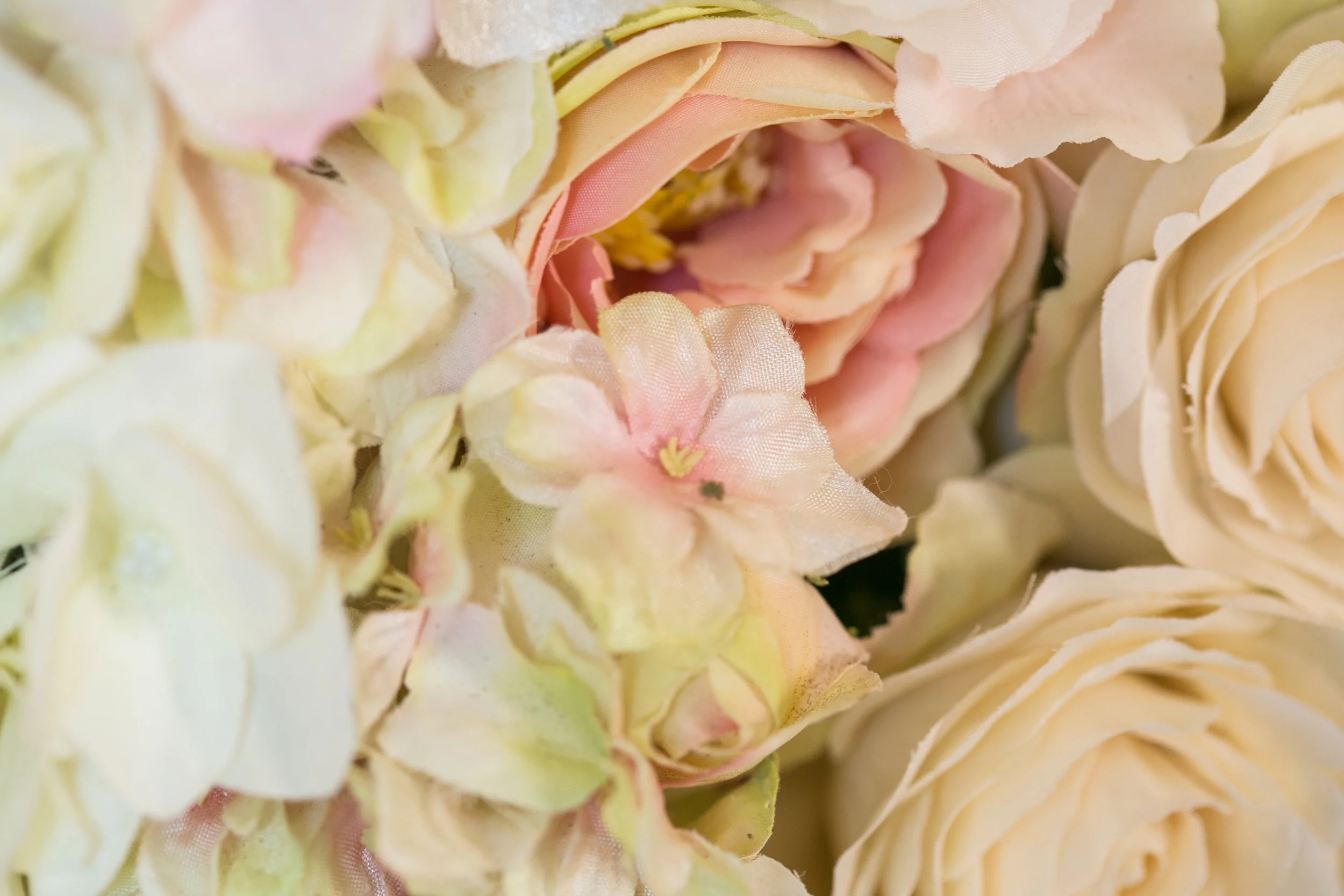 20190318_NicolFloral_361.jpg