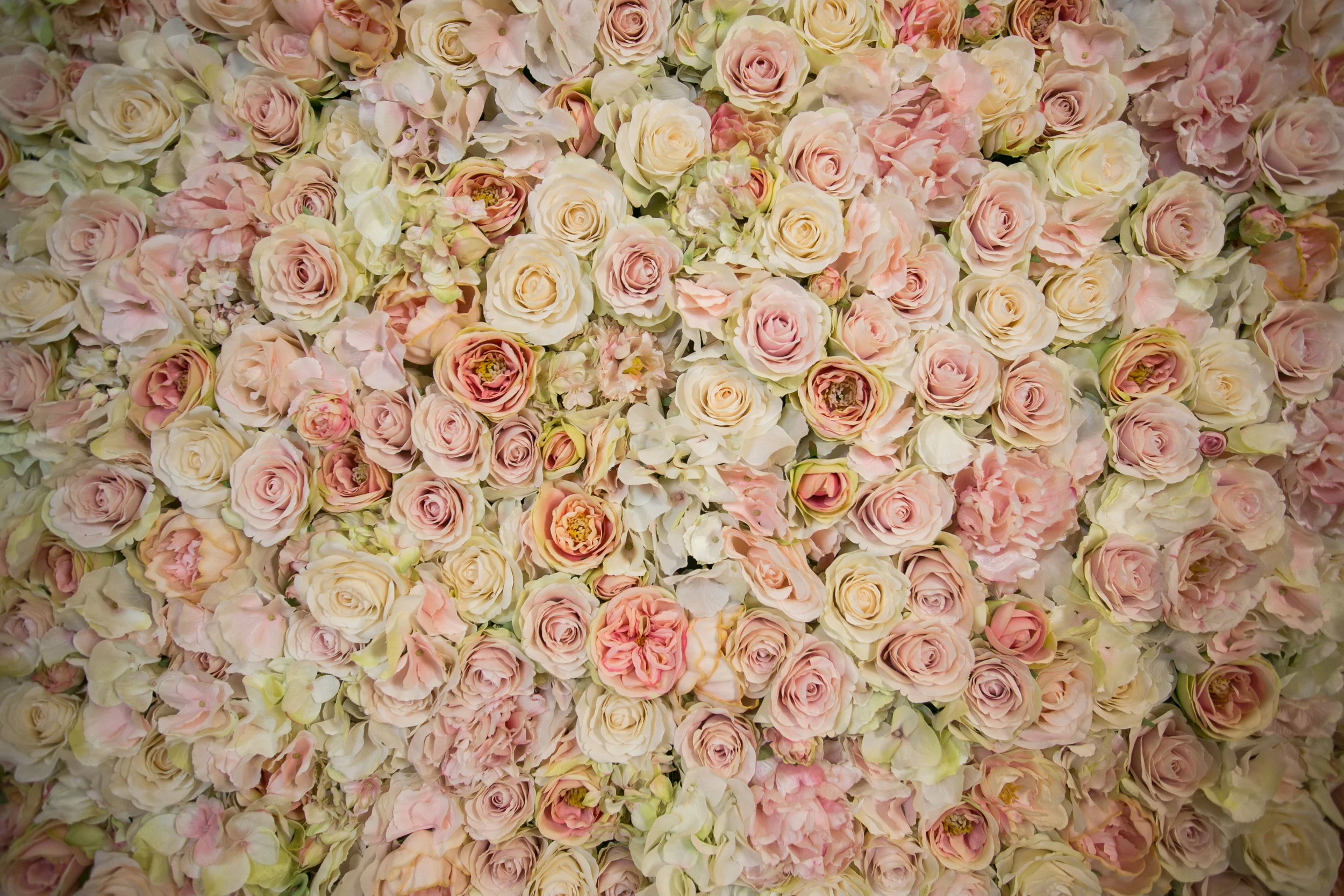 20190318_NicolFloral_365.jpg