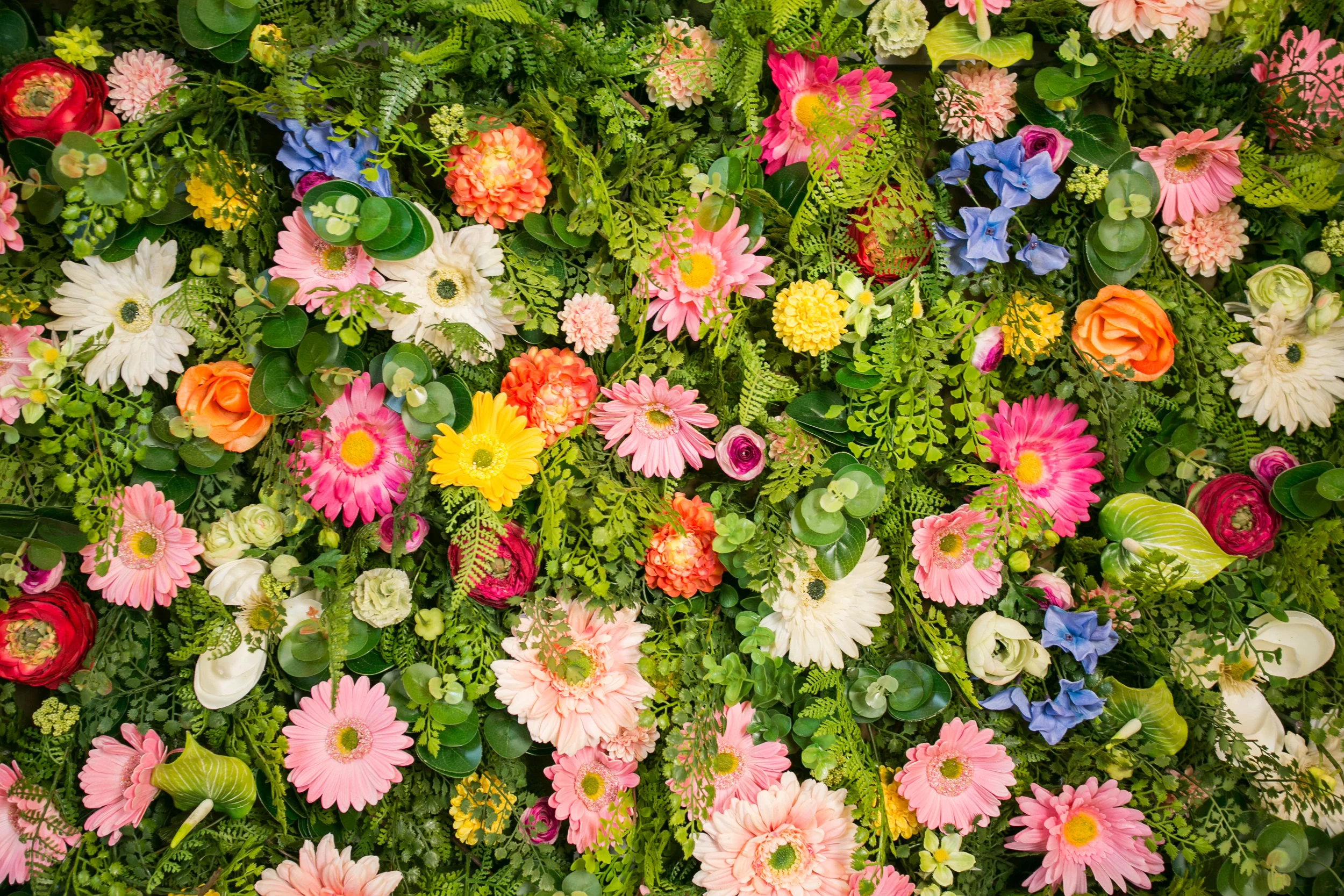 20190318_NicolFloral_231.jpg
