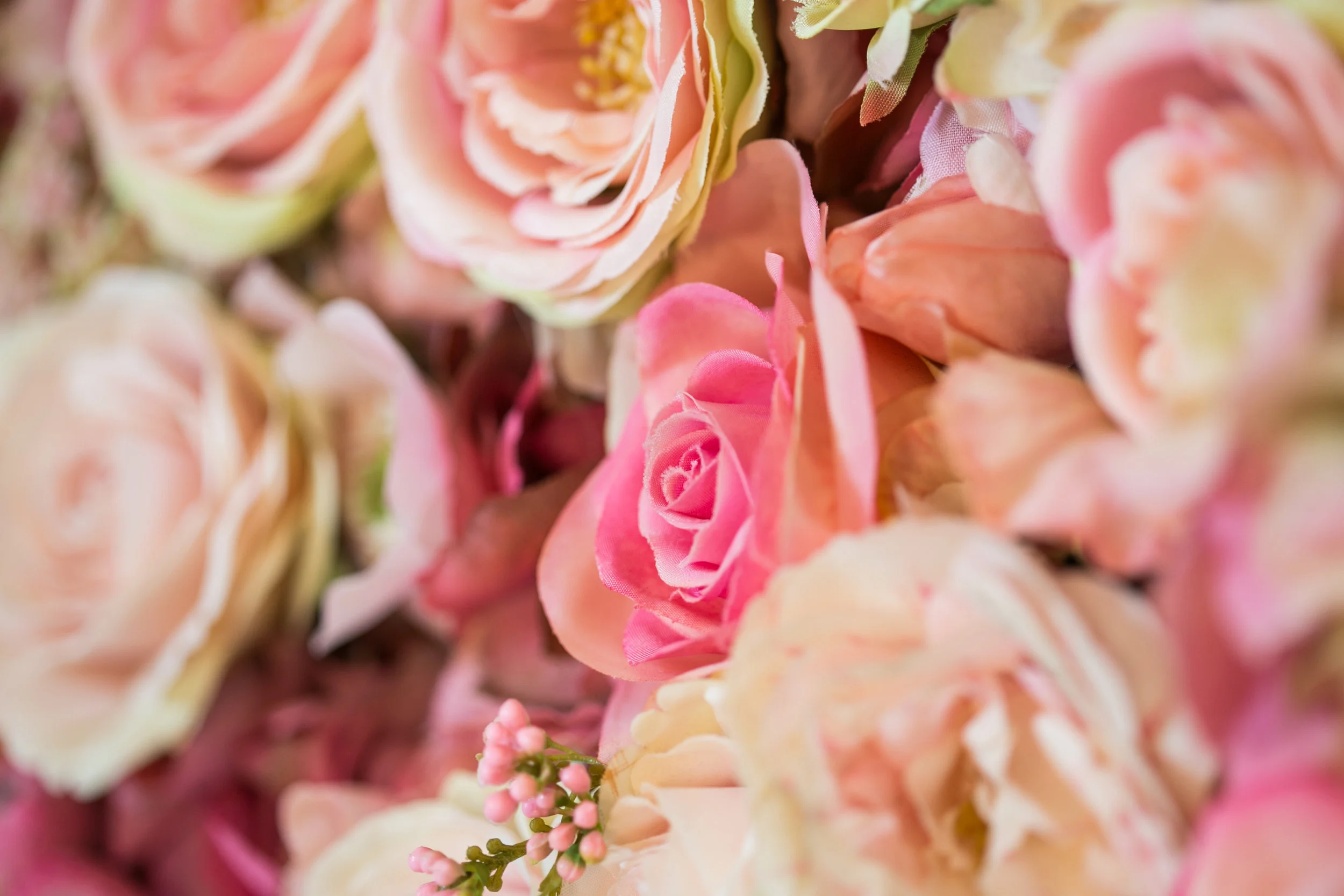 20190318_NicolFloral_589.jpg