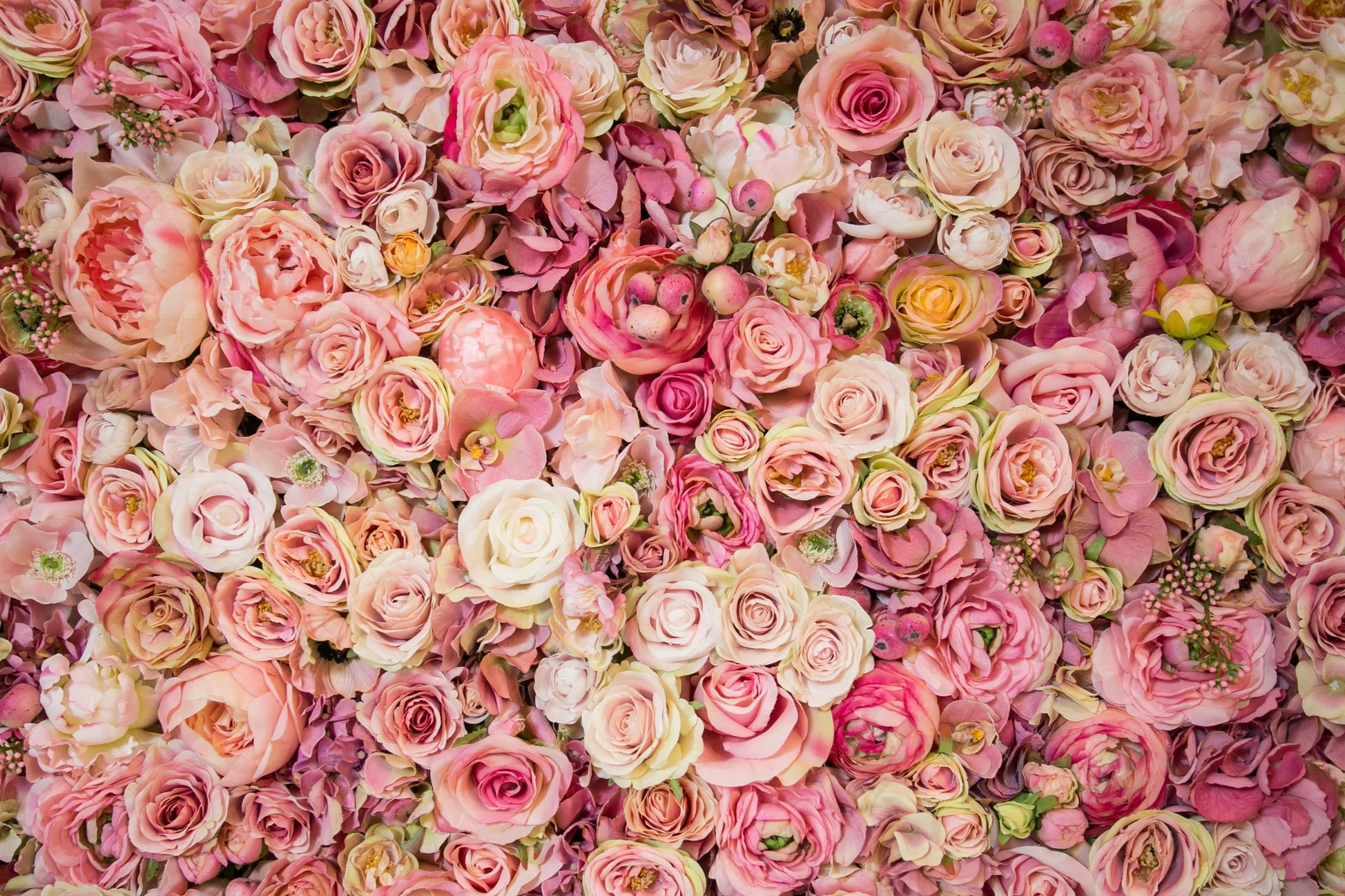 20190318_NicolFloral_594.jpg