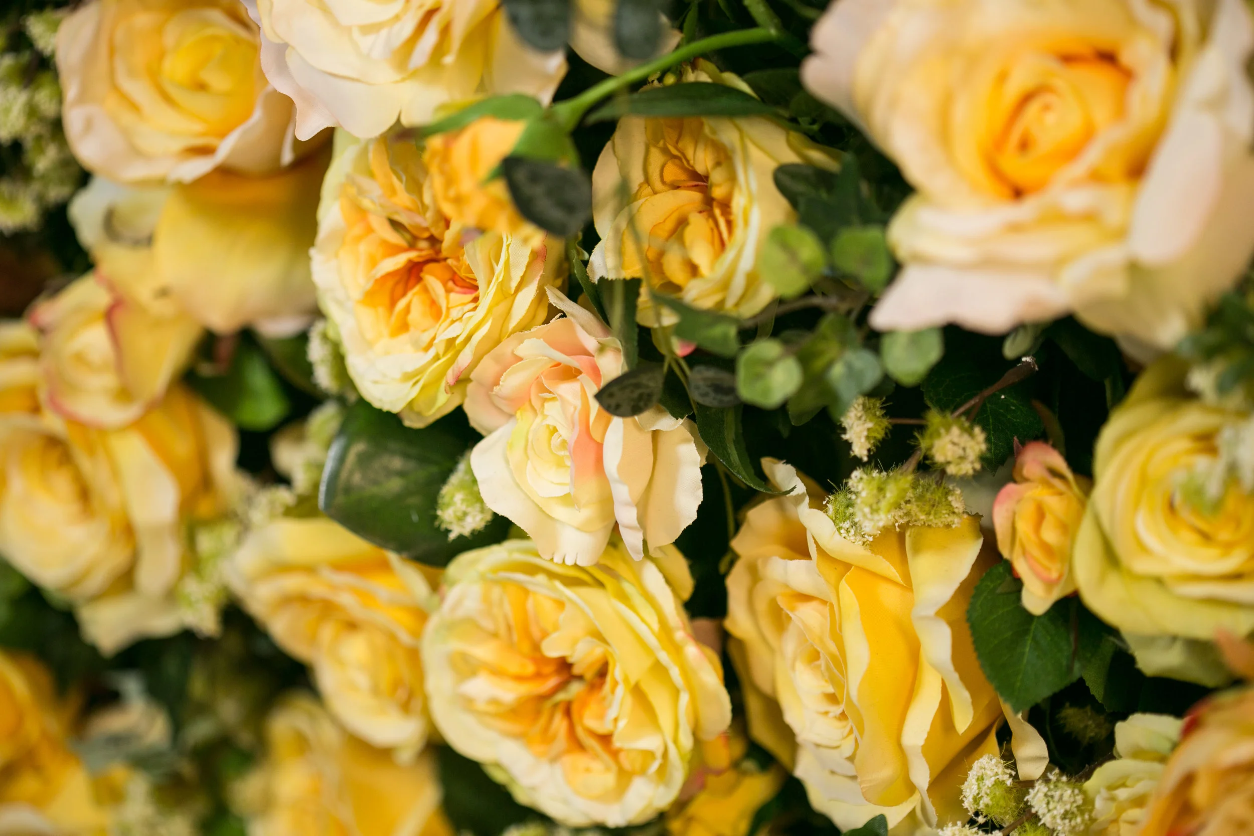 20190318_NicolFloral_759.jpg