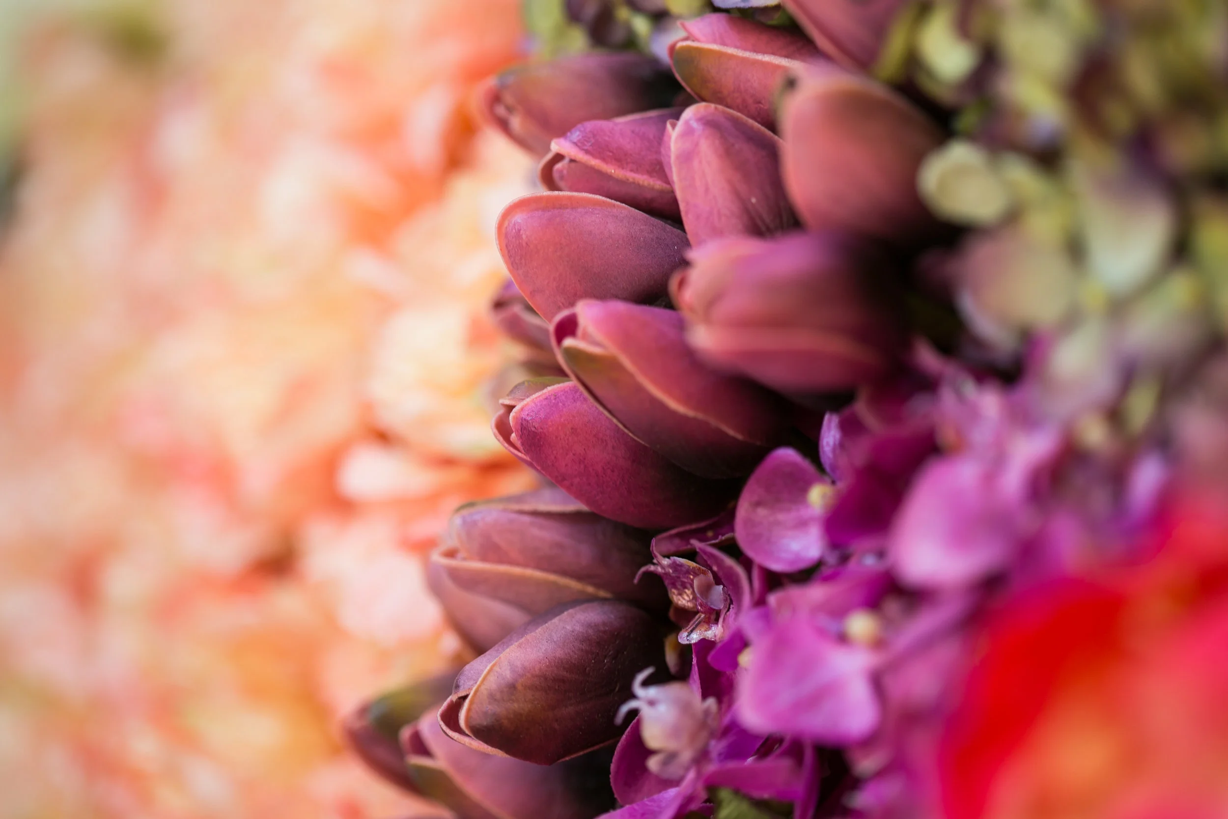 20190318_NicolFloral_399.jpg