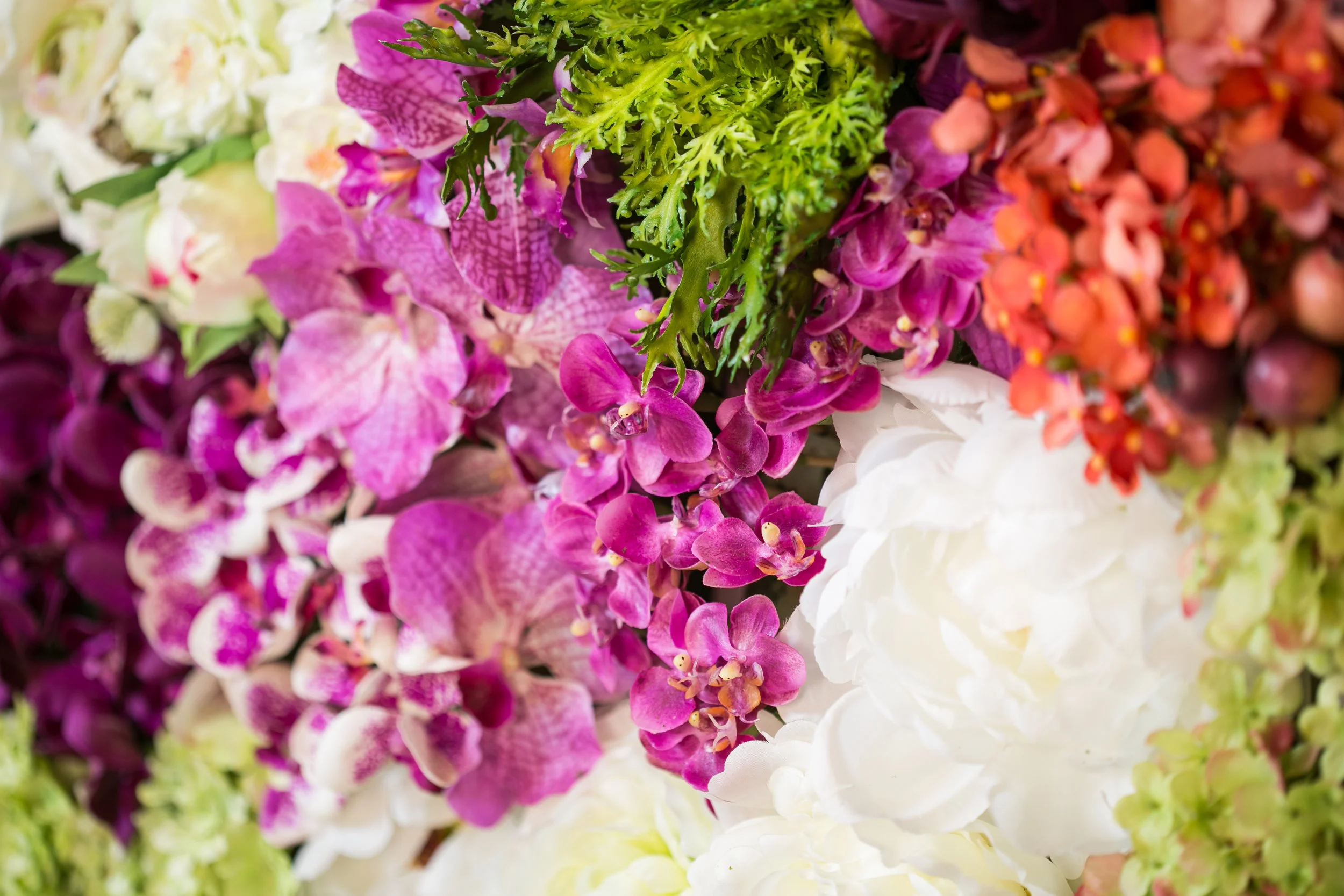 20190318_NicolFloral_415.jpg