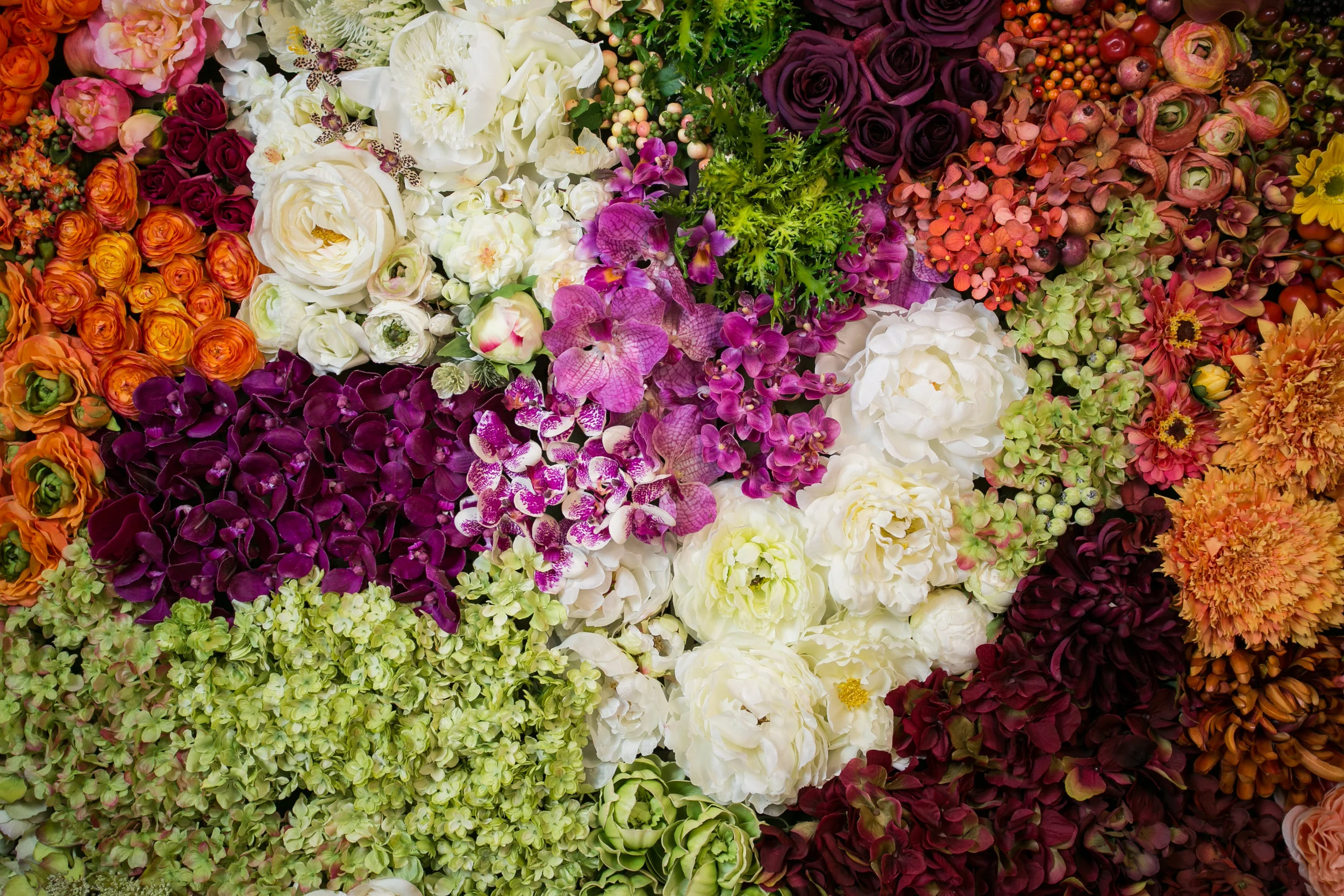 20190318_NicolFloral_424.jpg