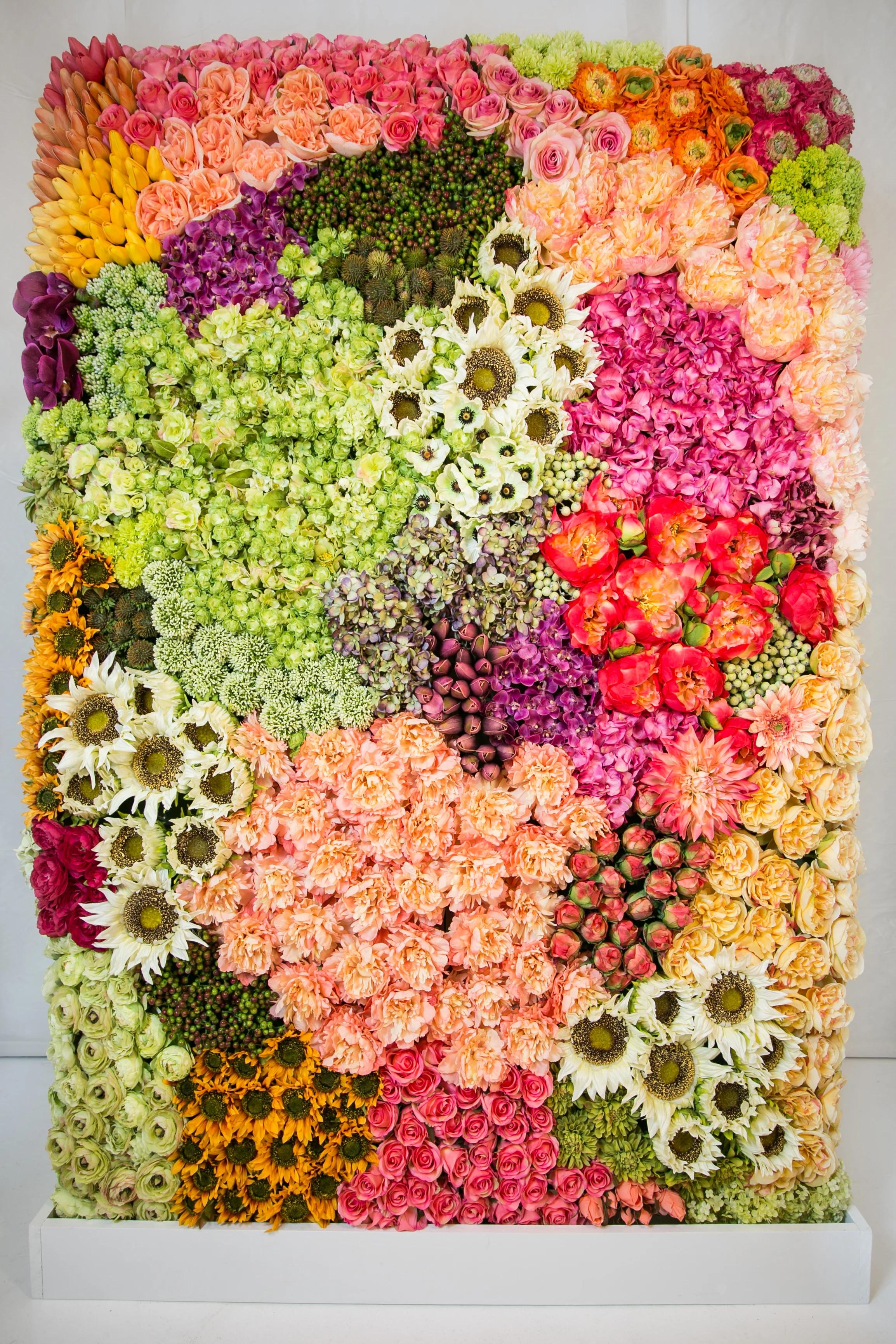 20190318_NicolFloral_402.jpg