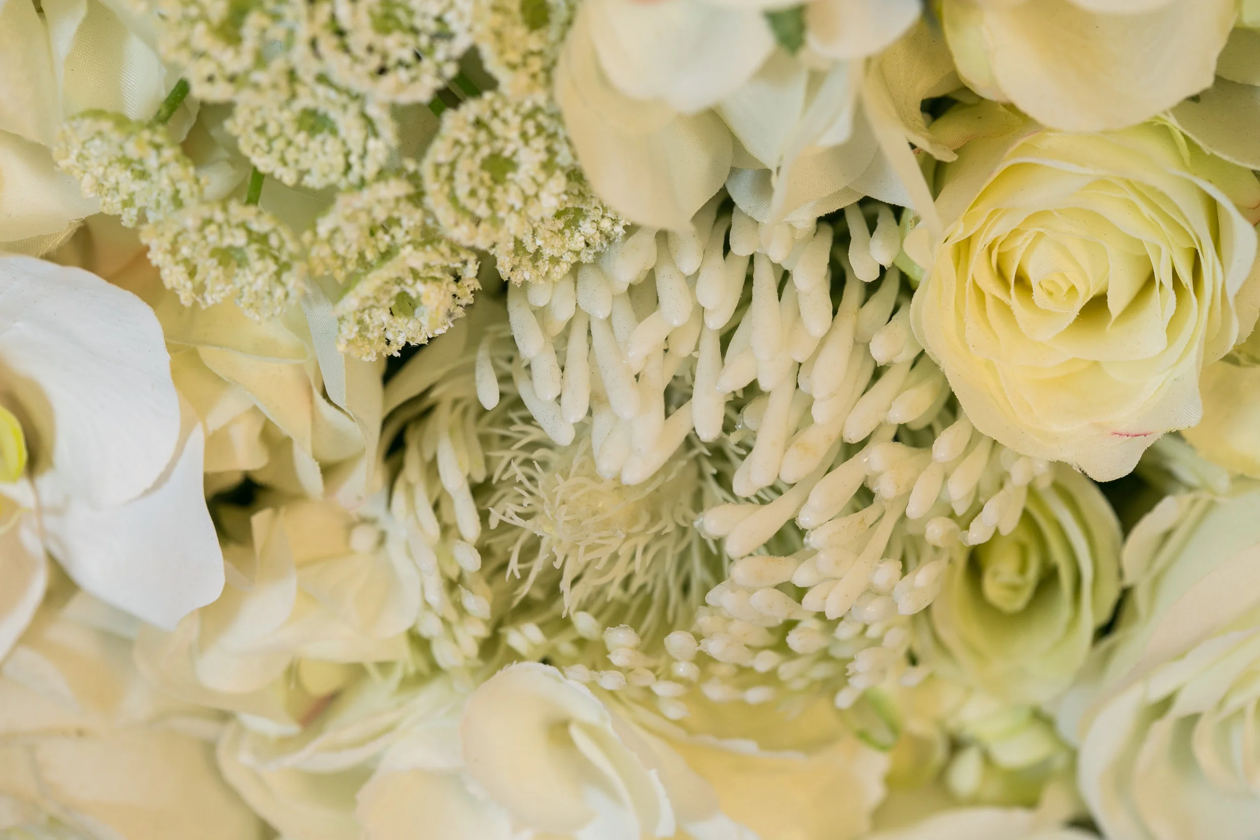 20190318_NicolFloral_668.jpg