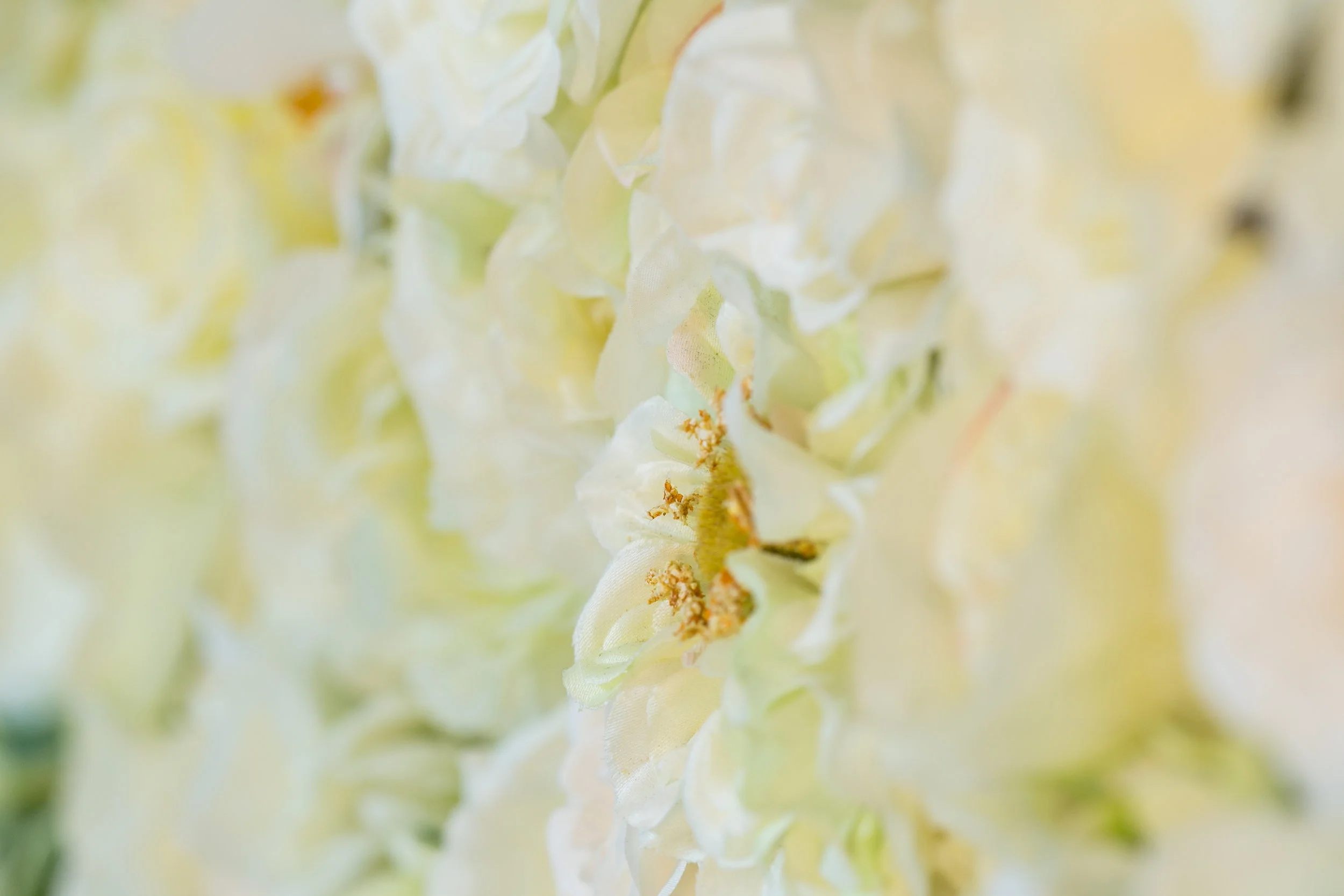 20190318_NicolFloral_670.jpg