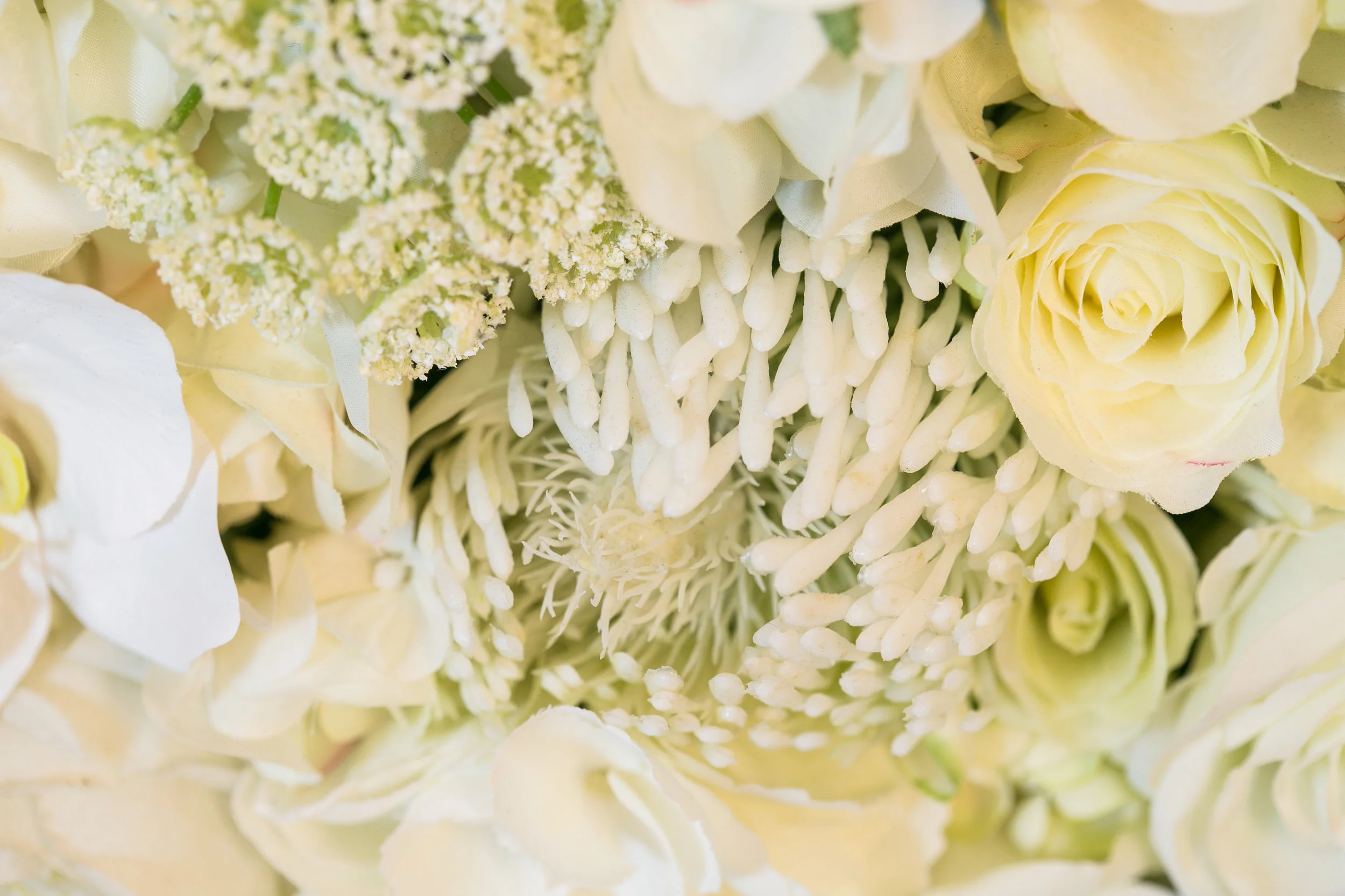 20190318_NicolFloral_668 2.jpg
