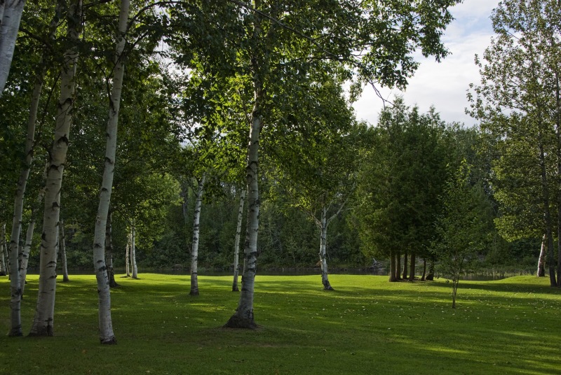 dsc_1921.jpg