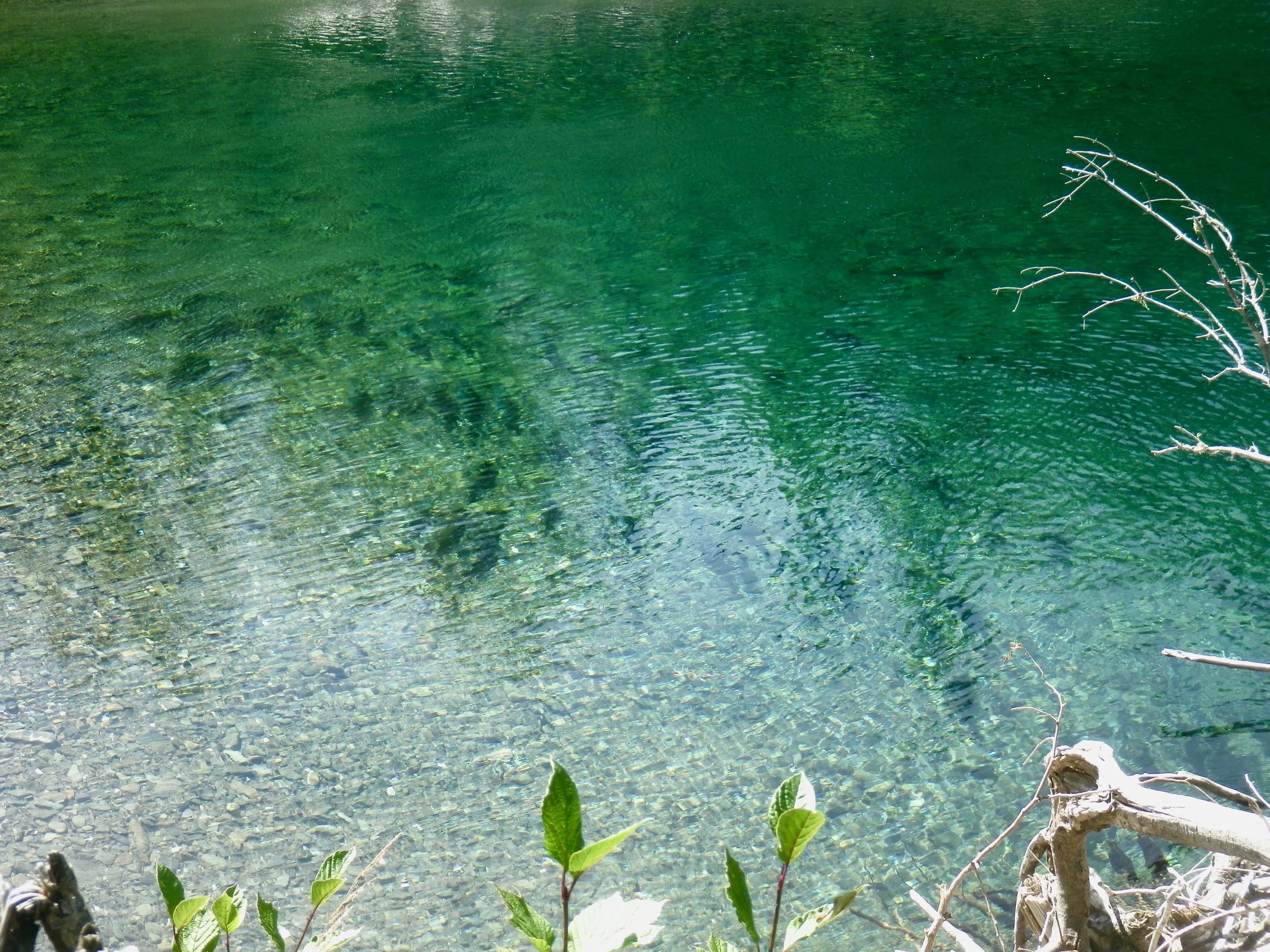 IMGP0622.jpg