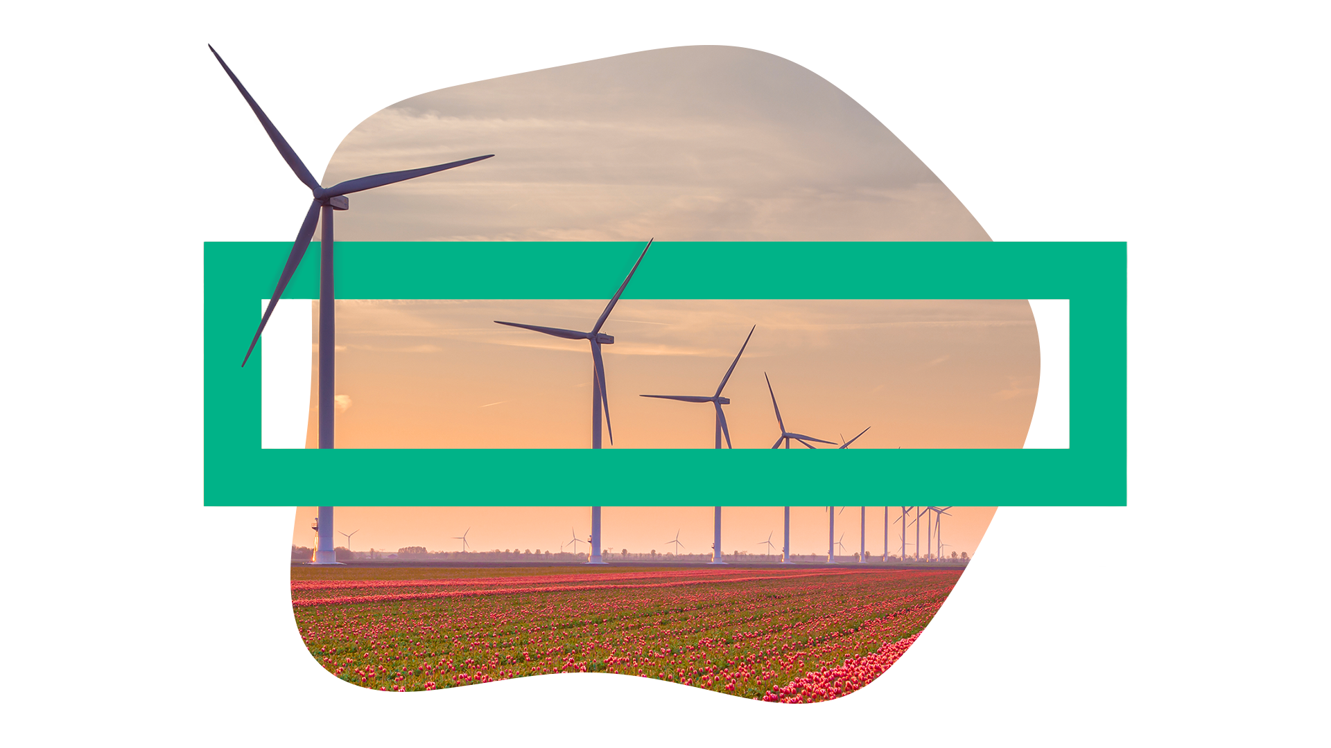 Hewlett Packard Enterprise Social