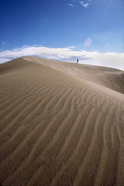 sand dune figurell.jpg