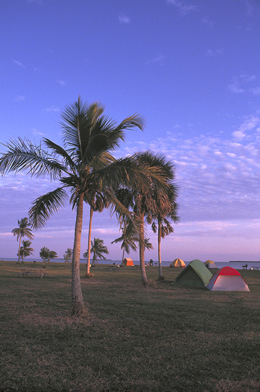 camping by the sea II.jpg