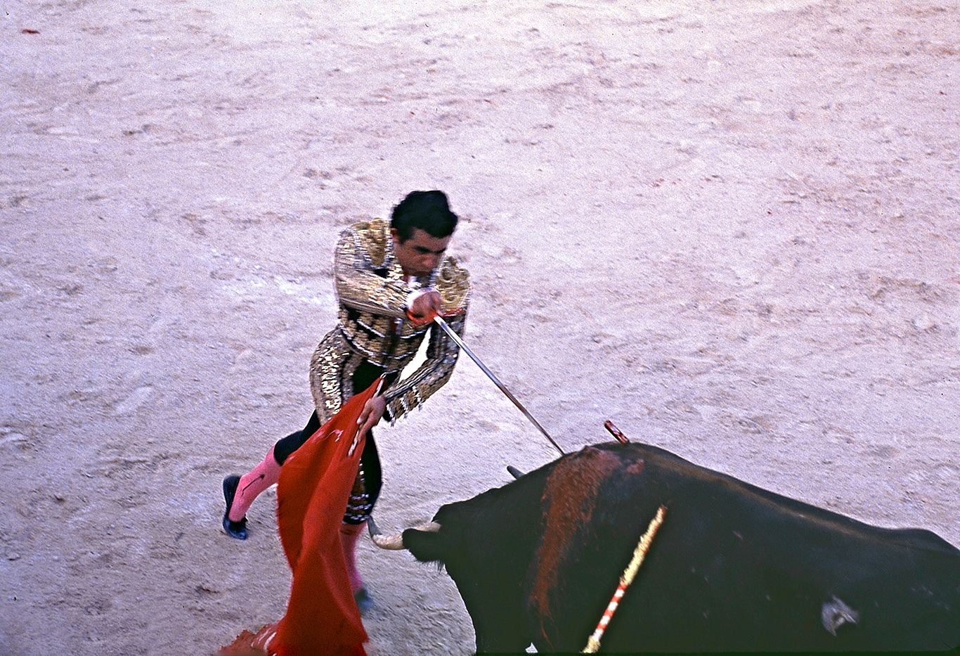 MATADOR STICKING BULL copy.jpg