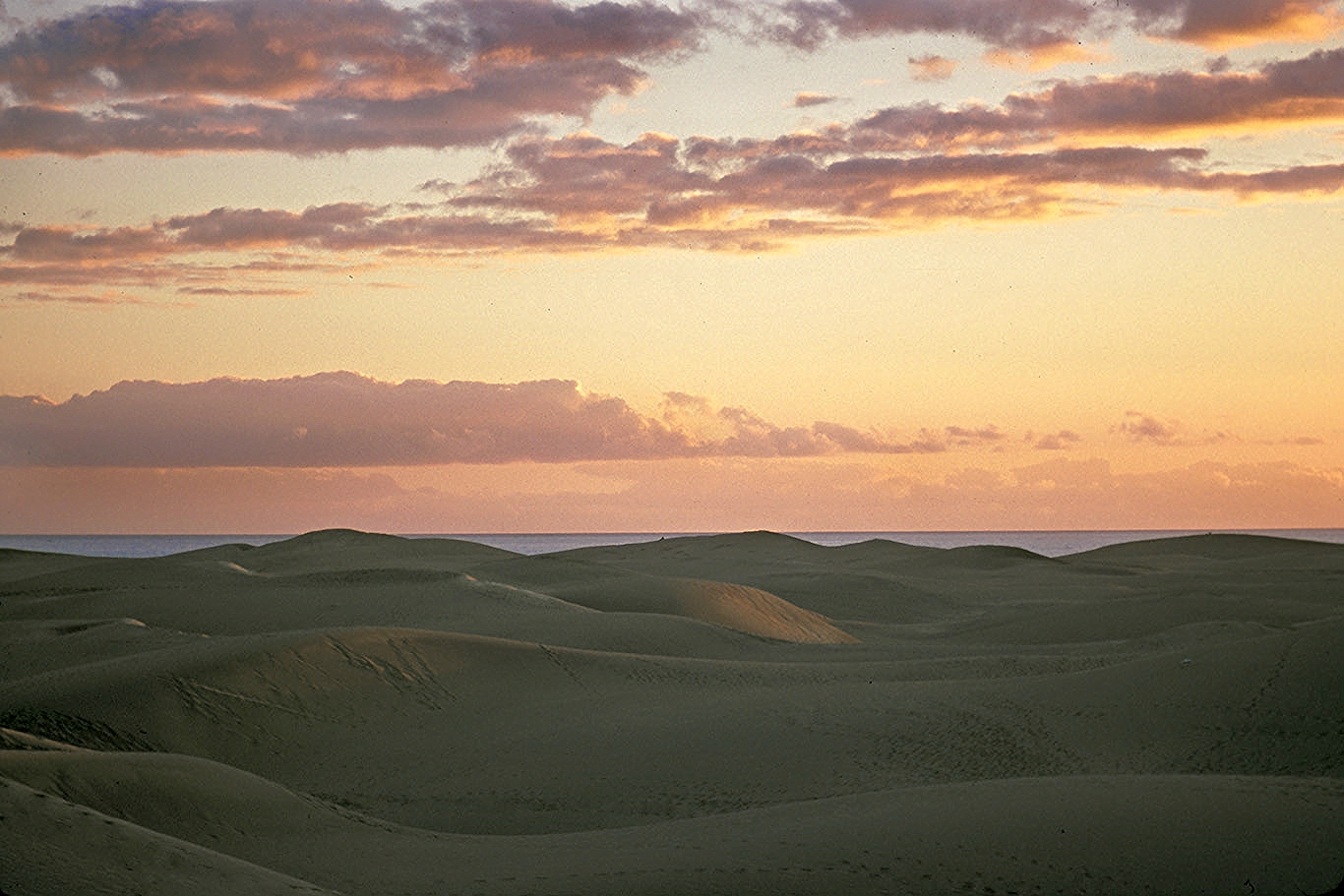 dunes in sunset***.jpg