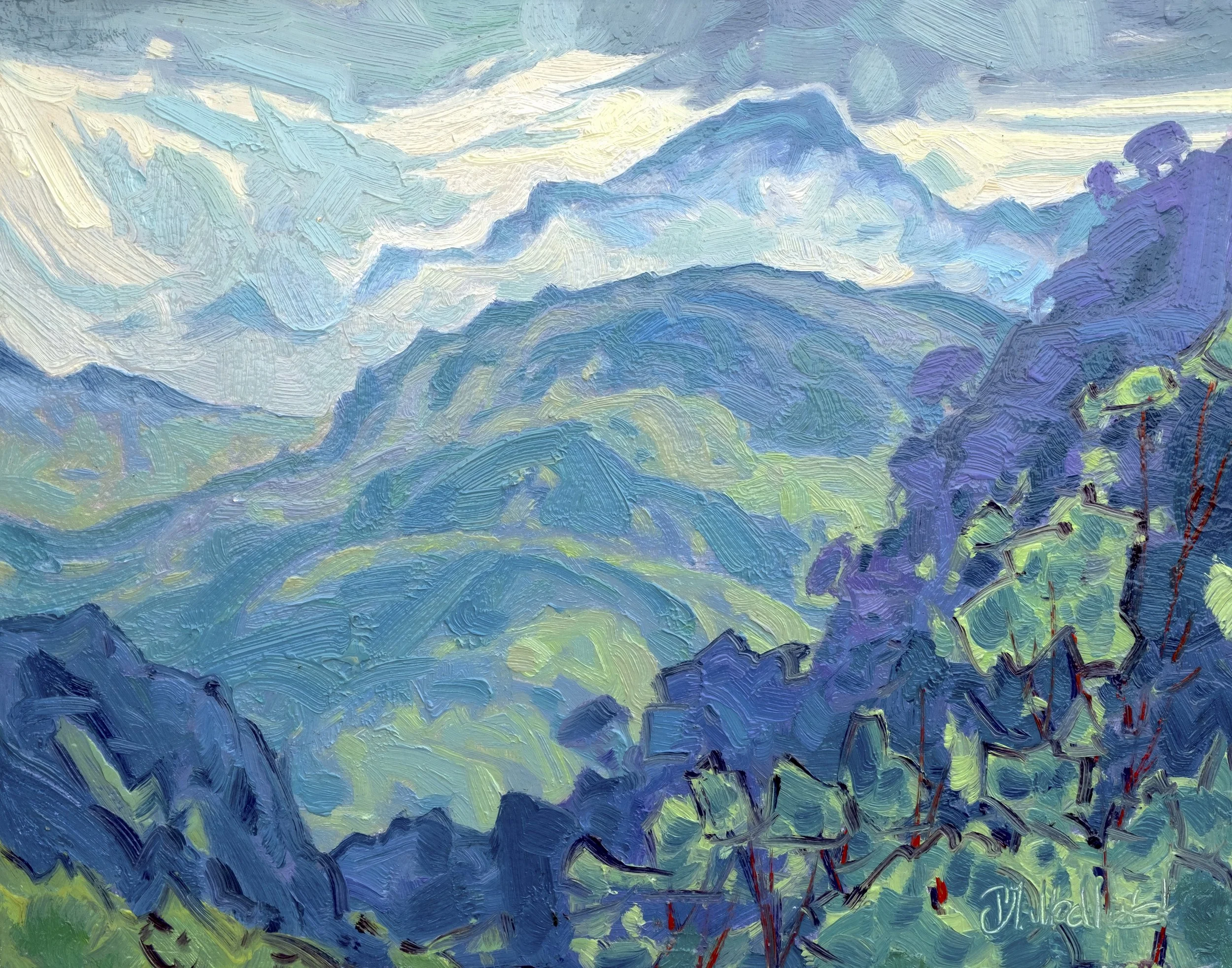 Eastern Slopes 11" x 14" o:b.jpg