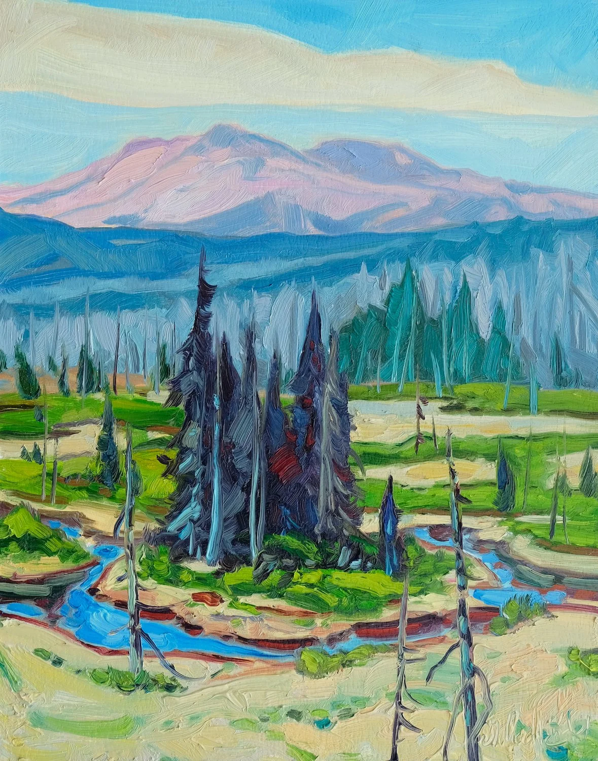 Tweedsmuir Country 14" x 11' o:b.JPG