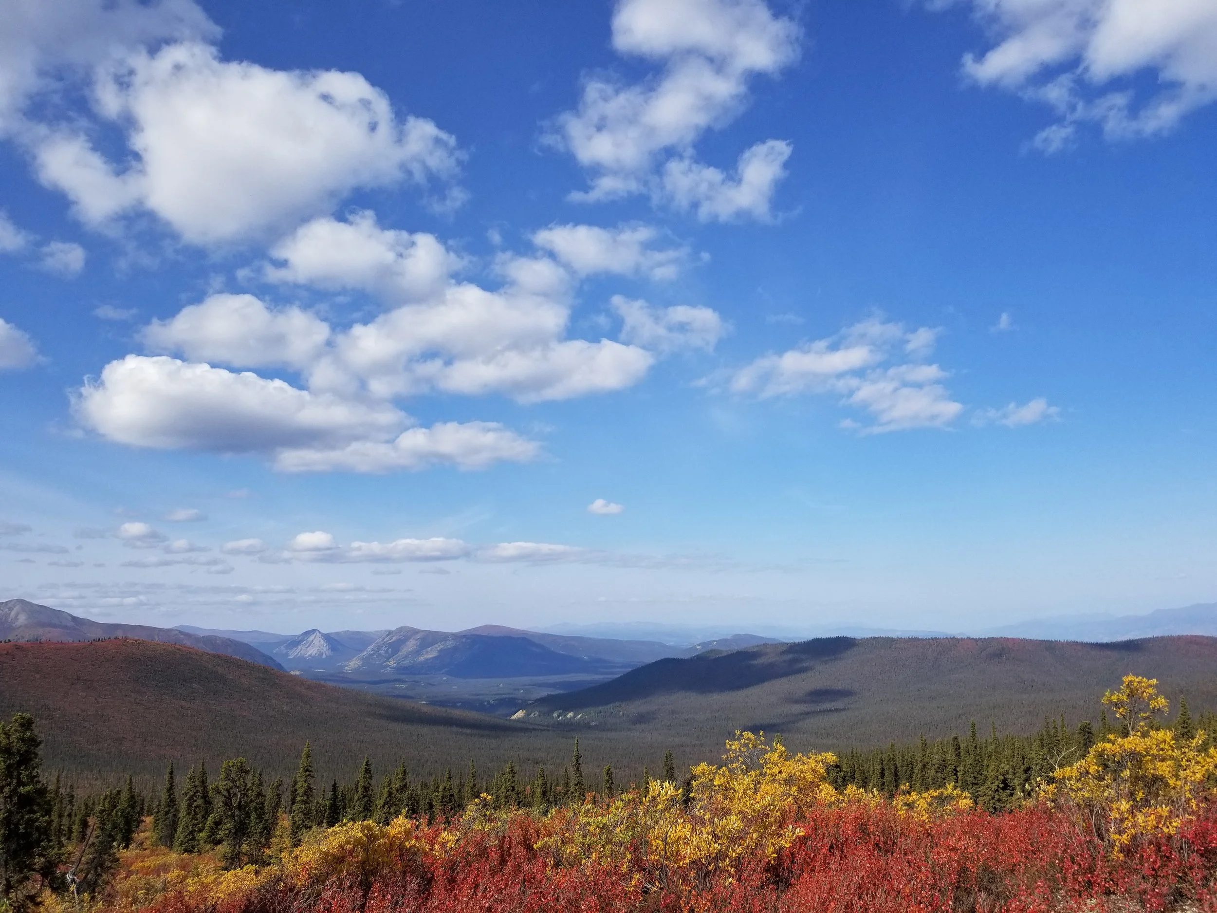 Notes from the field: Faro, YT