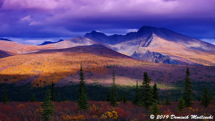 Boomtown keno online Boomtown keno online